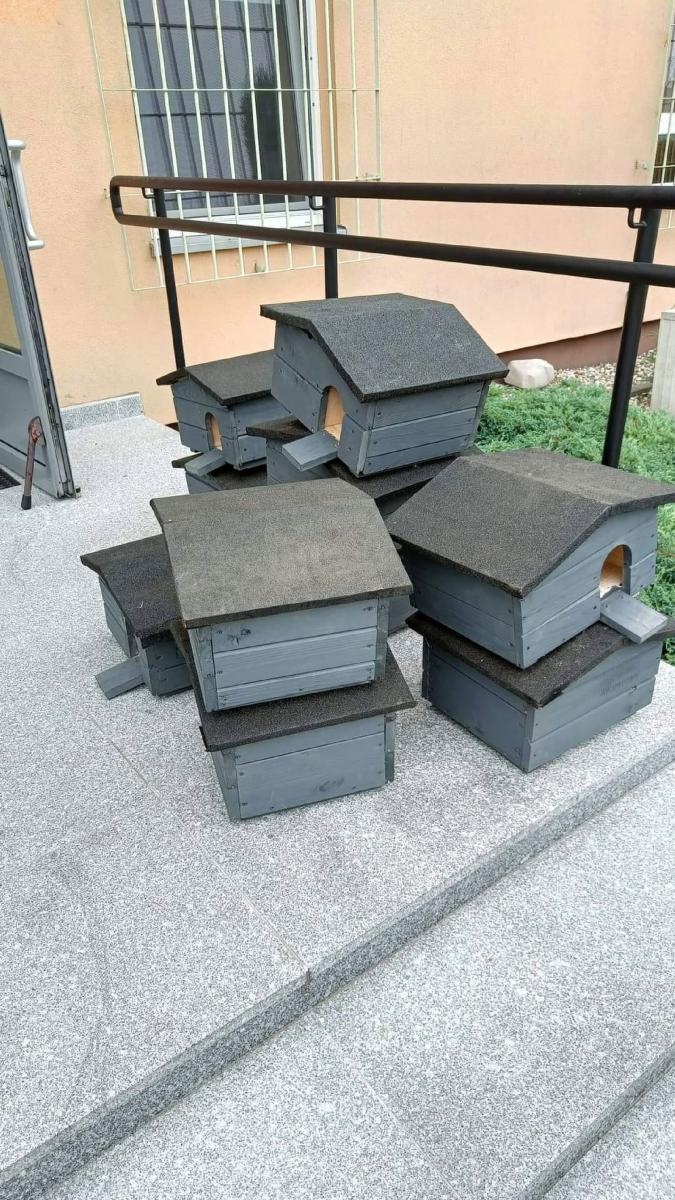 Zdjęcie w galerii na portalu naszraciborz.pl: Światowy Dzień Jeża w raciborskim poprawczaku wiadomości z regionu