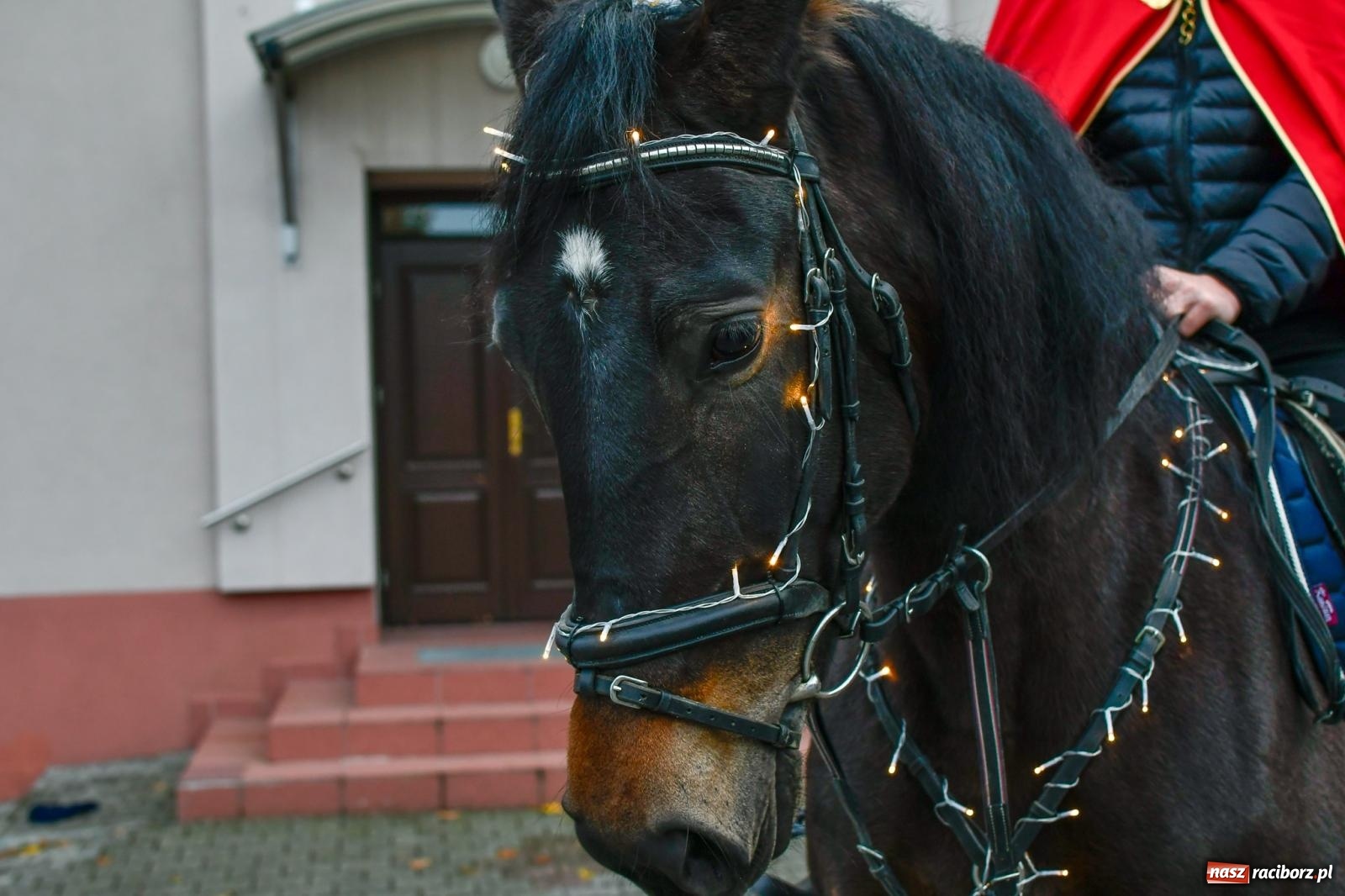 Zdjęcie w galerii na portalu naszraciborz.pl: W Bieńkowicach wspomniano św. Marcina wiadomości z regionu