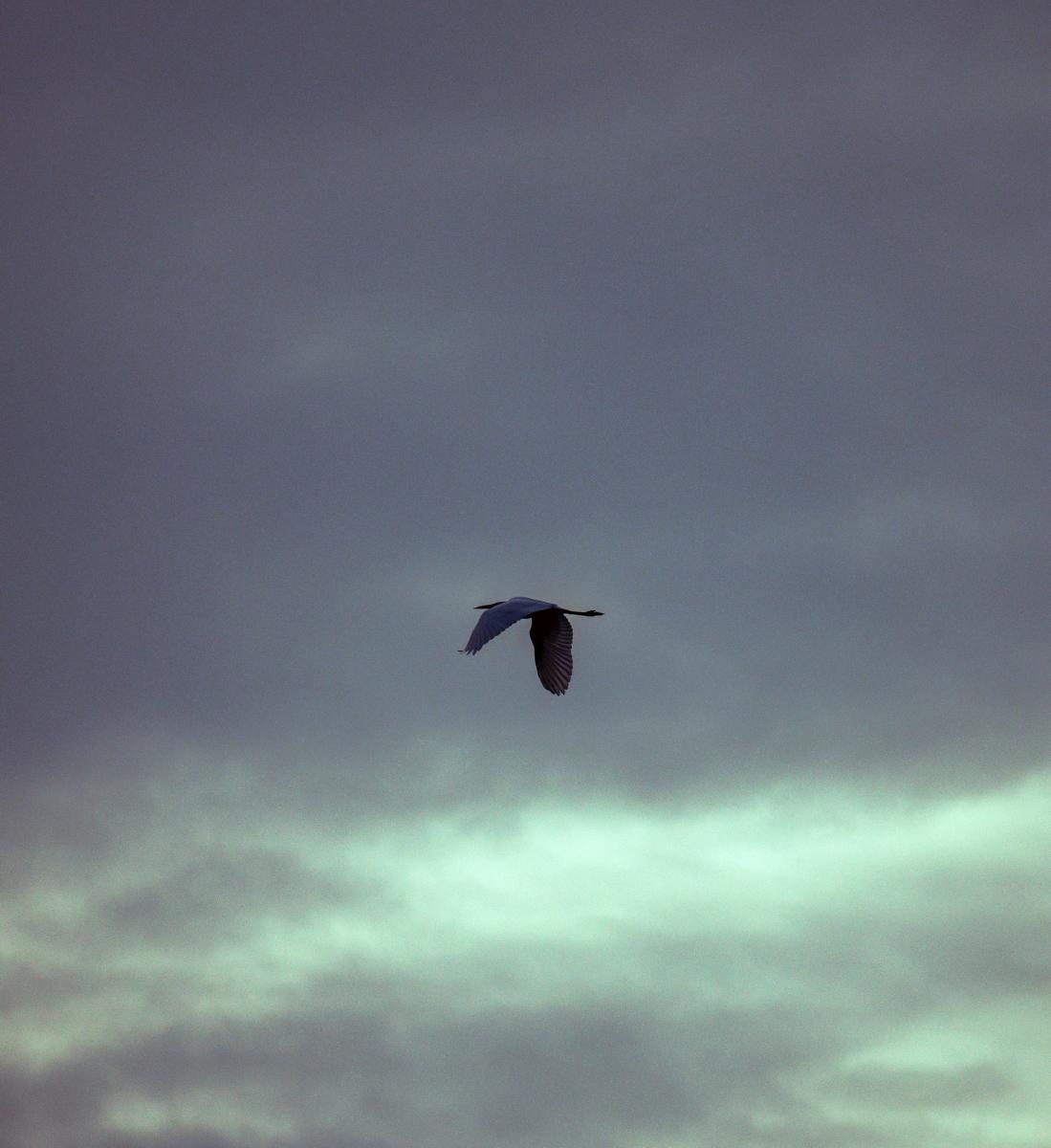 Zdjęcie w galerii na portalu naszraciborz.pl: Jesienny Łężczok. Fotograficzne zaproszenie na spacer wiadomości z regionu