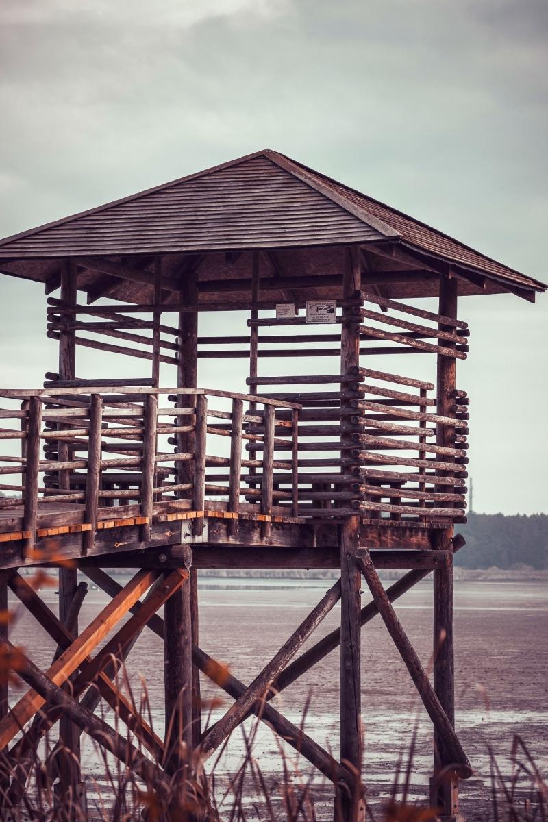 Zdjęcie w galerii na portalu naszraciborz.pl: Jesienny Łężczok. Fotograficzne zaproszenie na spacer wiadomości z regionu