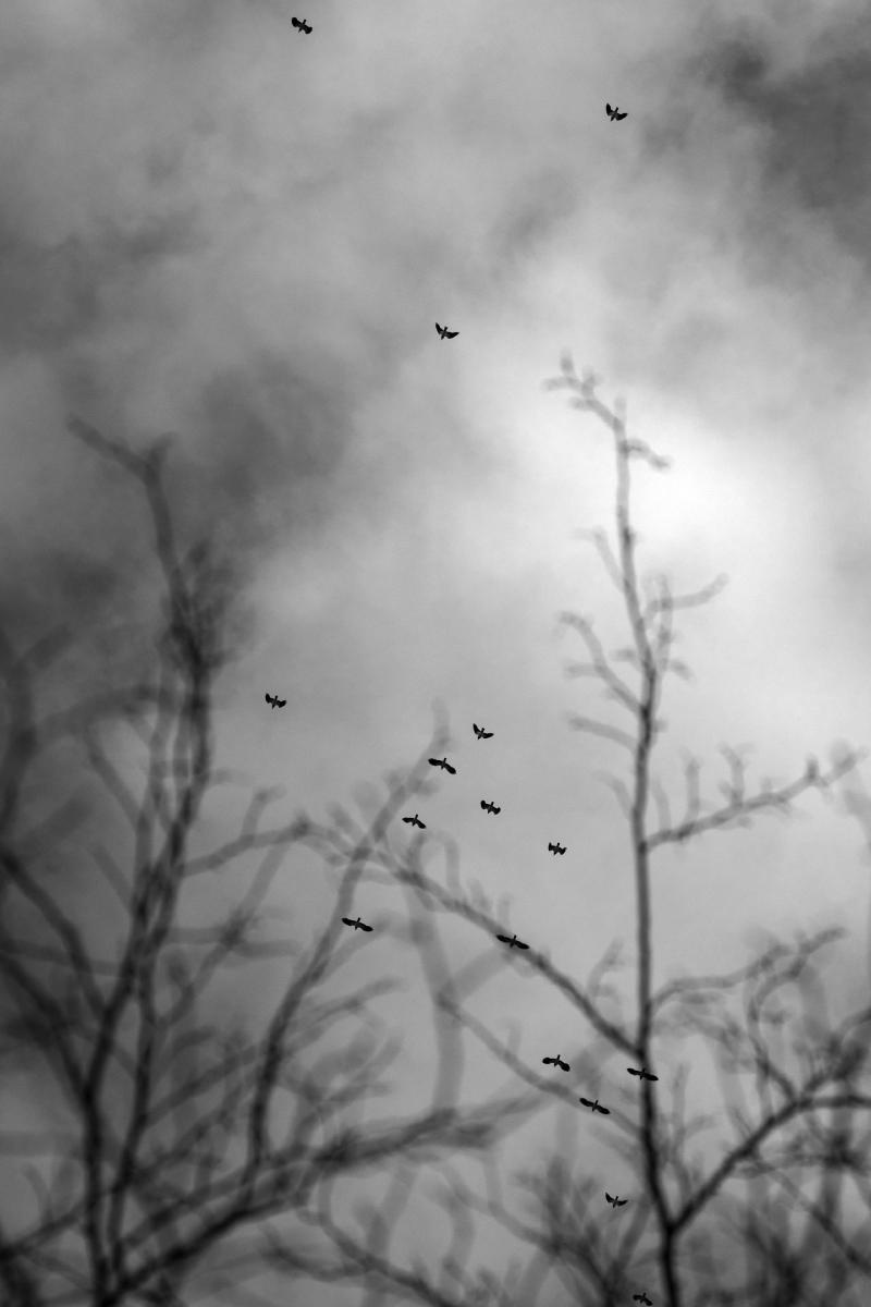 Zdjęcie w galerii na portalu naszraciborz.pl: Jesienny Łężczok. Fotograficzne zaproszenie na spacer wiadomości z regionu