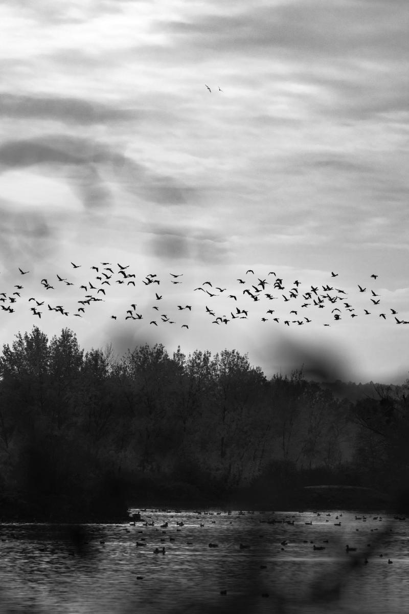 Zdjęcie w galerii na portalu naszraciborz.pl: Jesienny Łężczok. Fotograficzne zaproszenie na spacer wiadomości z regionu