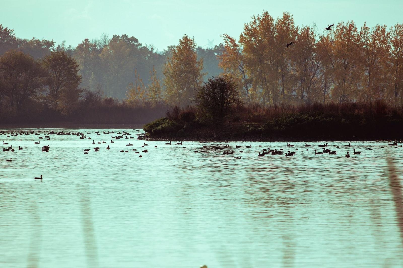 Zdjęcie w galerii na portalu naszraciborz.pl: Jesienny Łężczok. Fotograficzne zaproszenie na spacer wiadomości z regionu
