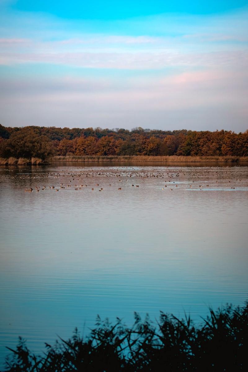 Zdjęcie w galerii na portalu naszraciborz.pl: Jesienny Łężczok. Fotograficzne zaproszenie na spacer wiadomości z regionu