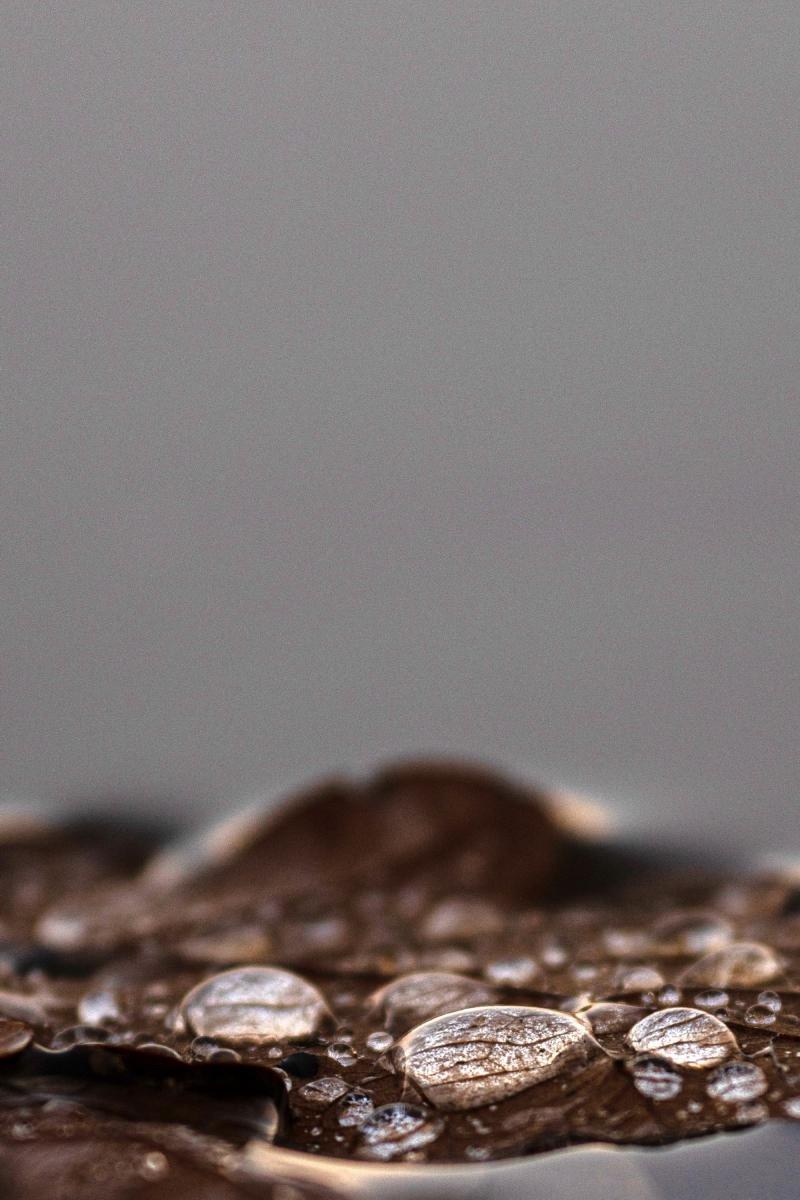 Zdjęcie w galerii na portalu naszraciborz.pl: Jesienny Łężczok. Fotograficzne zaproszenie na spacer wiadomości z regionu