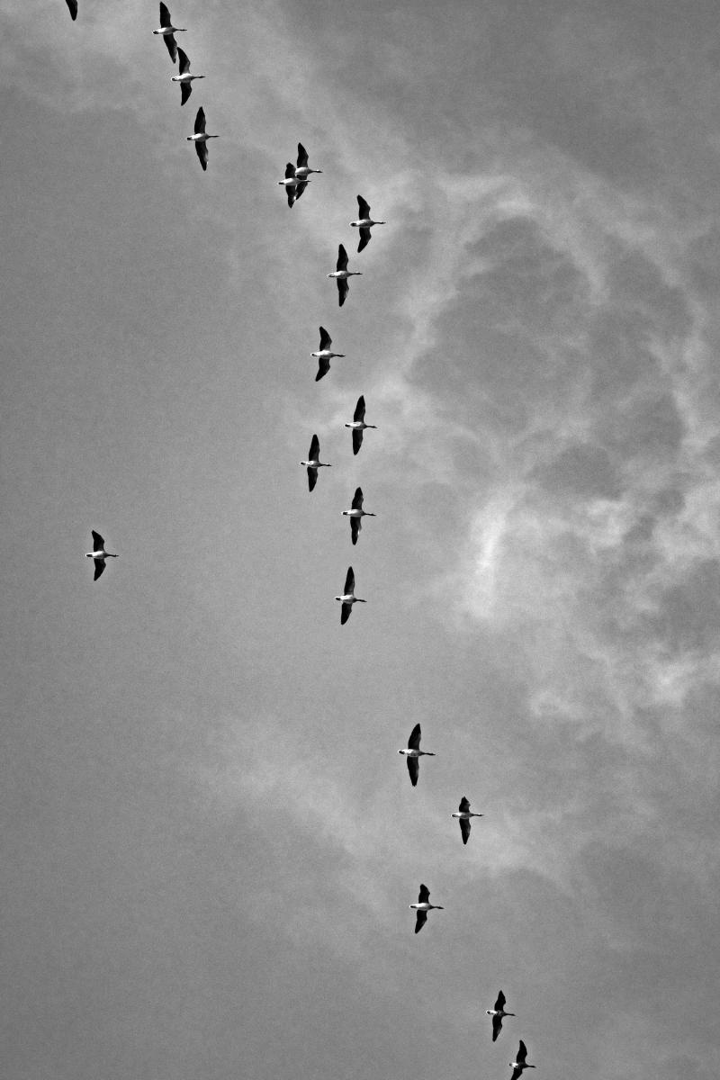 Zdjęcie w galerii na portalu naszraciborz.pl: Jesienny Łężczok. Fotograficzne zaproszenie na spacer wiadomości z regionu