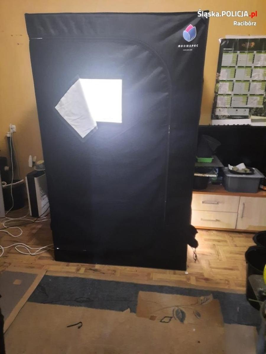 Zdjęcie w galerii na portalu naszraciborz.pl: W mieszkaniu były rozstawione namioty. Policjanci sprawdzili, co się w nich kryje [FOTO] wiadomości z regionu