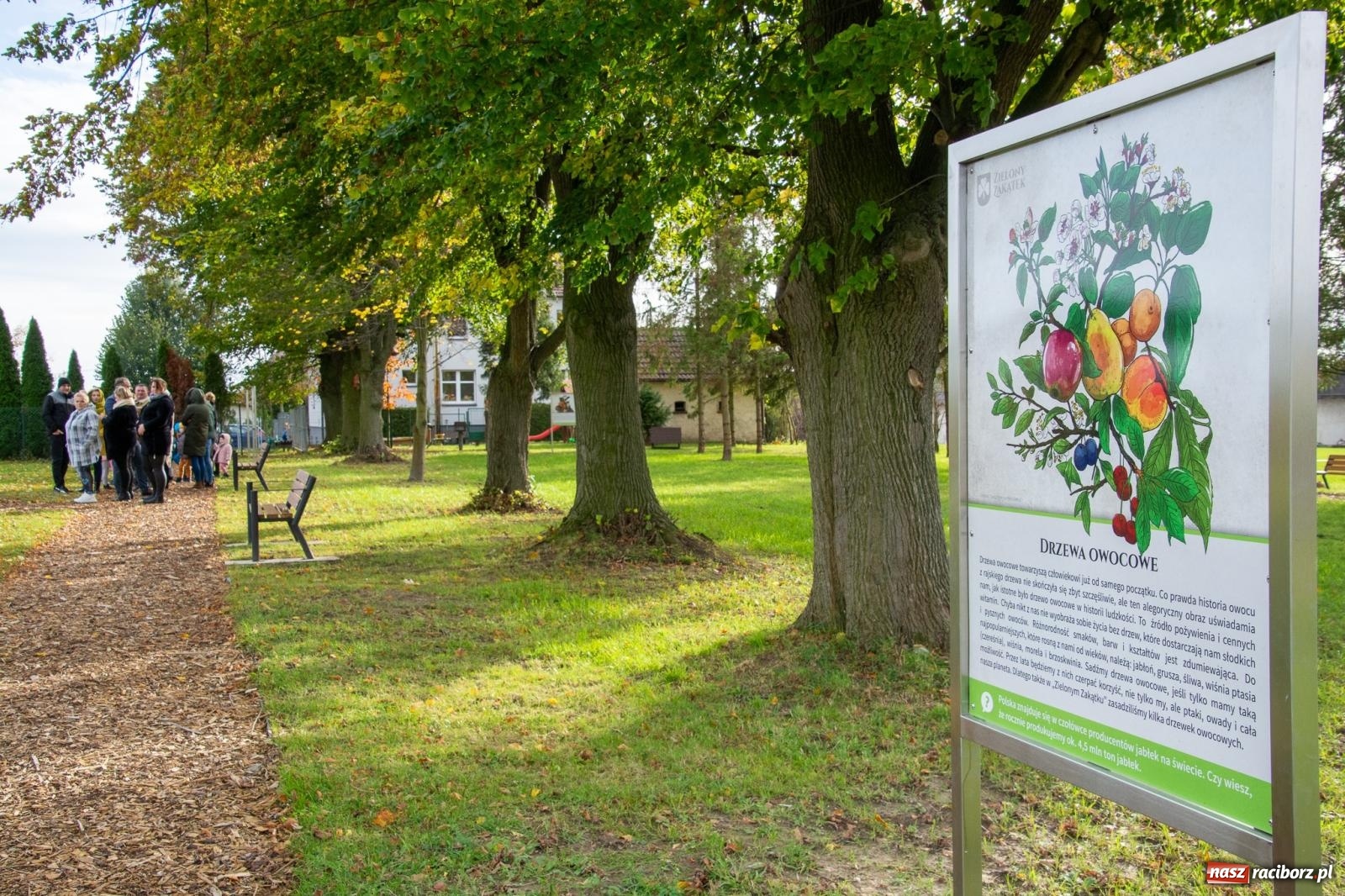 Zdjęcie w galerii na portalu naszraciborz.pl: Cyprzanów ma swój zielony zakątek. Jak leśny park niespodzianek [FOTO i WIDEO] wiadomości z regionu