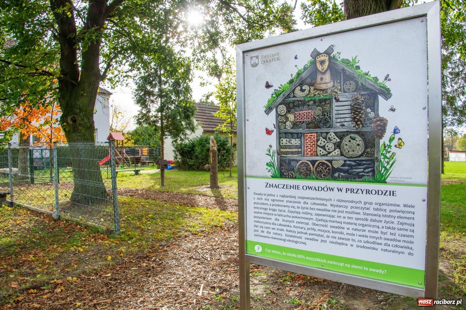 Zdjęcie w galerii na portalu naszraciborz.pl: Cyprzanów ma swój zielony zakątek. Jak leśny park niespodzianek [FOTO i WIDEO] wiadomości z regionu