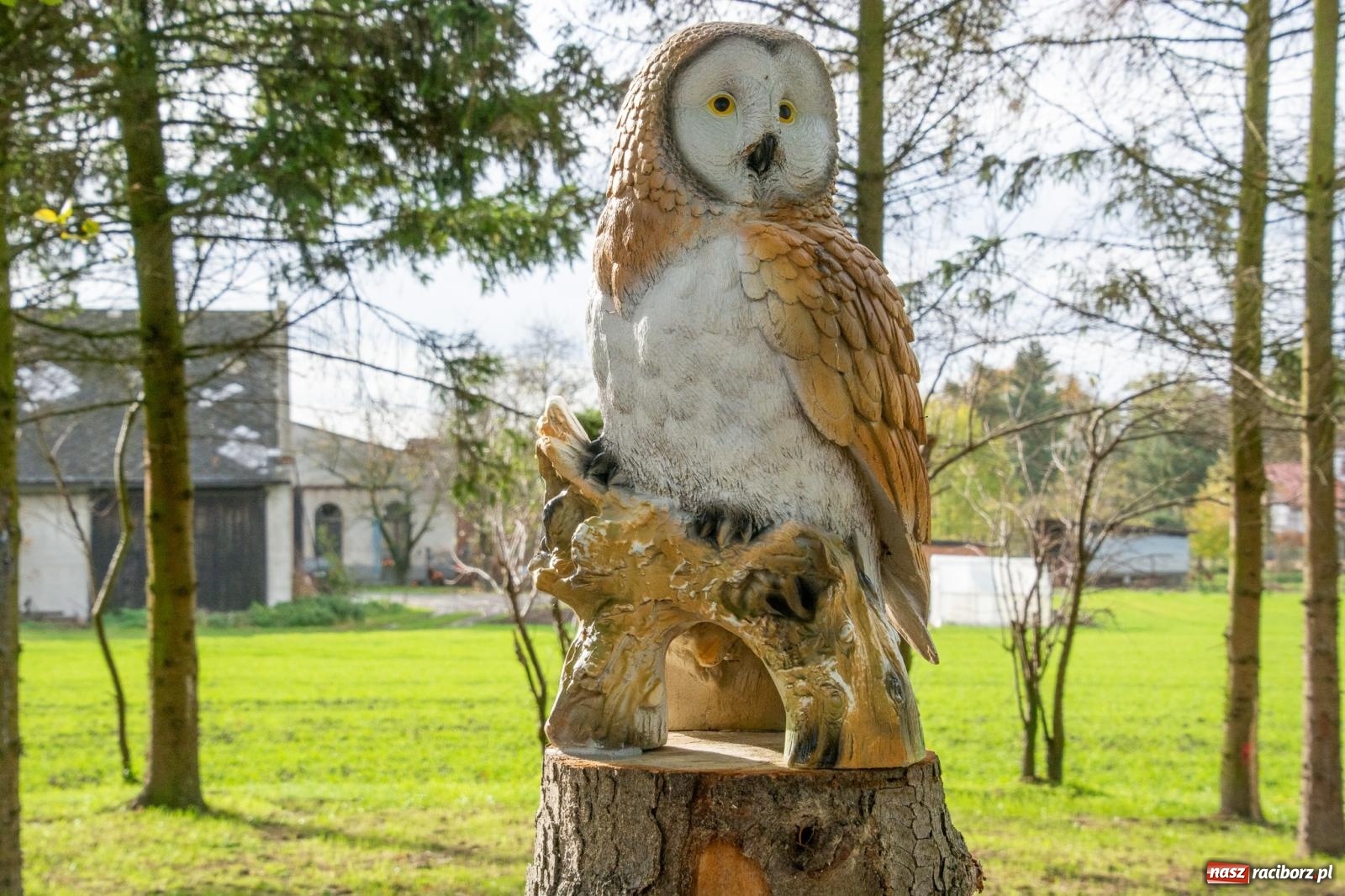 Zdjęcie w galerii na portalu naszraciborz.pl: Cyprzanów ma swój zielony zakątek. Jak leśny park niespodzianek [FOTO i WIDEO] wiadomości z regionu