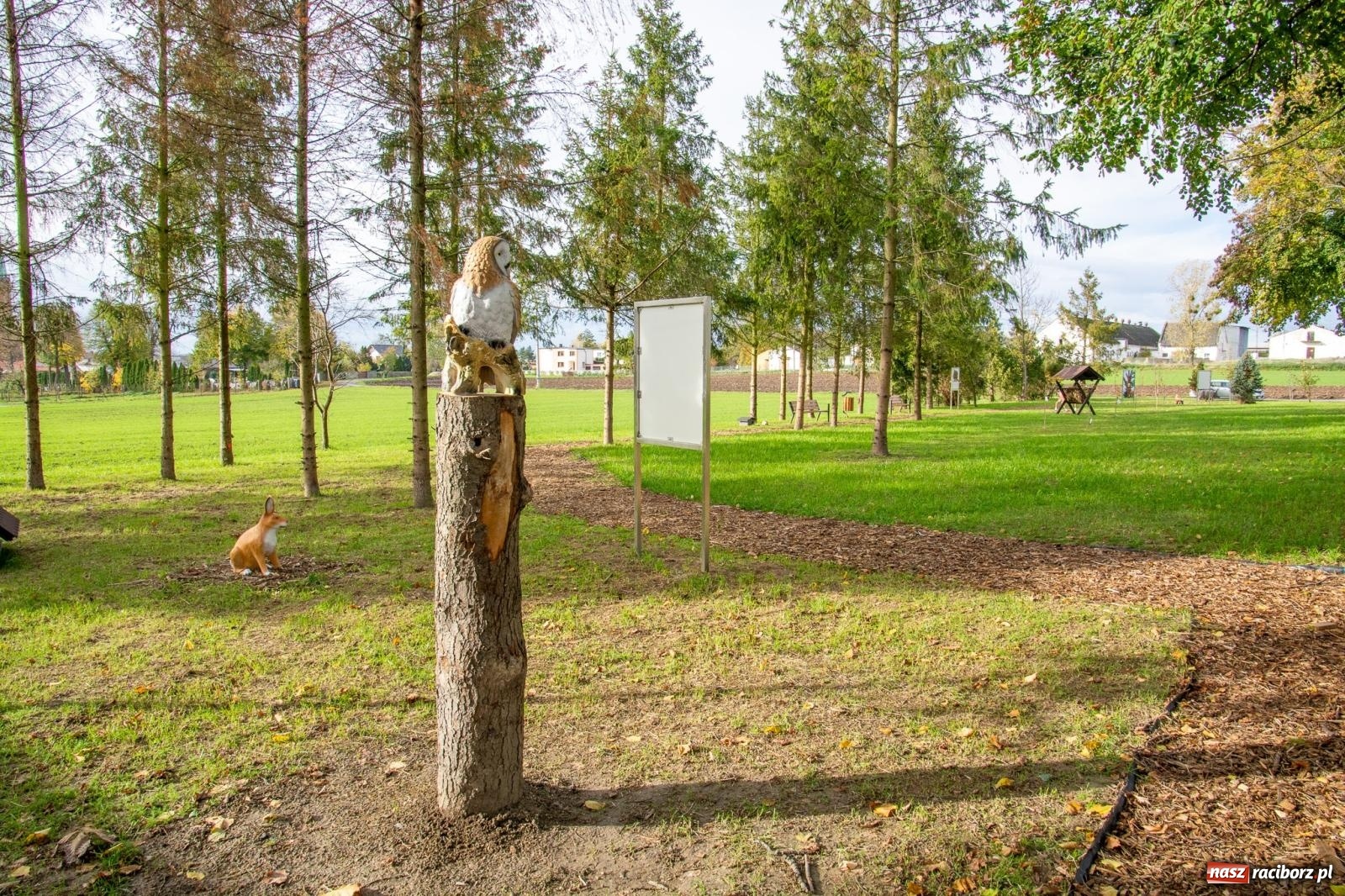 Zdjęcie w galerii na portalu naszraciborz.pl: Cyprzanów ma swój zielony zakątek. Jak leśny park niespodzianek [FOTO i WIDEO] wiadomości z regionu