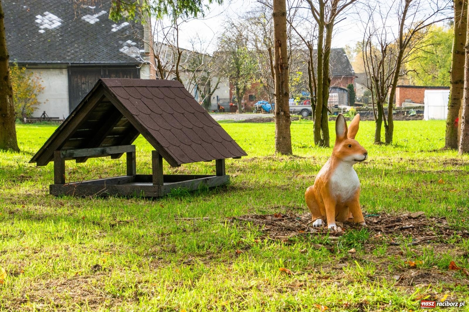 Zdjęcie w galerii na portalu naszraciborz.pl: Cyprzanów ma swój zielony zakątek. Jak leśny park niespodzianek [FOTO i WIDEO] wiadomości z regionu