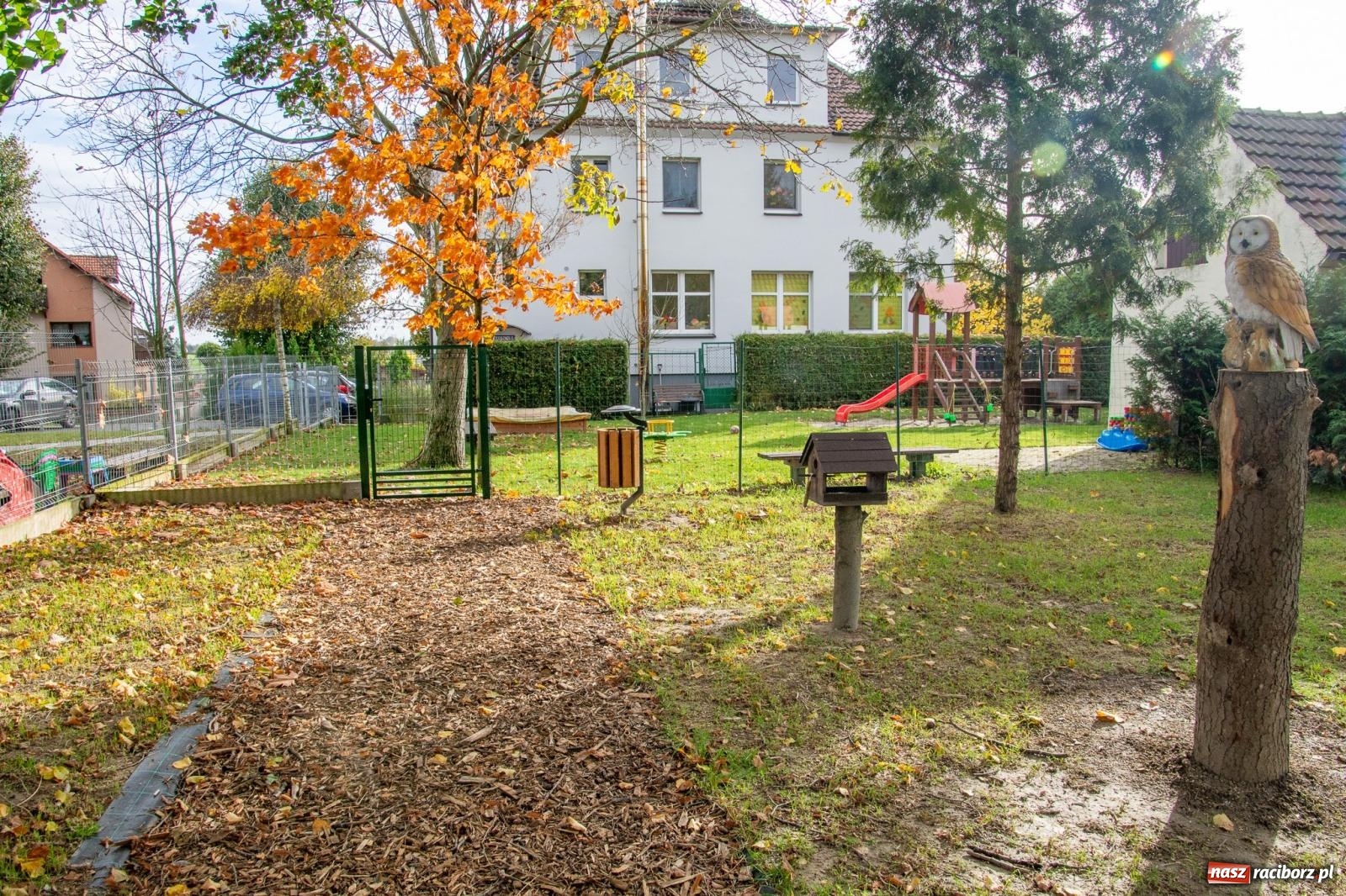 Zdjęcie w galerii na portalu naszraciborz.pl: Cyprzanów ma swój zielony zakątek. Jak leśny park niespodzianek [FOTO i WIDEO] wiadomości z regionu