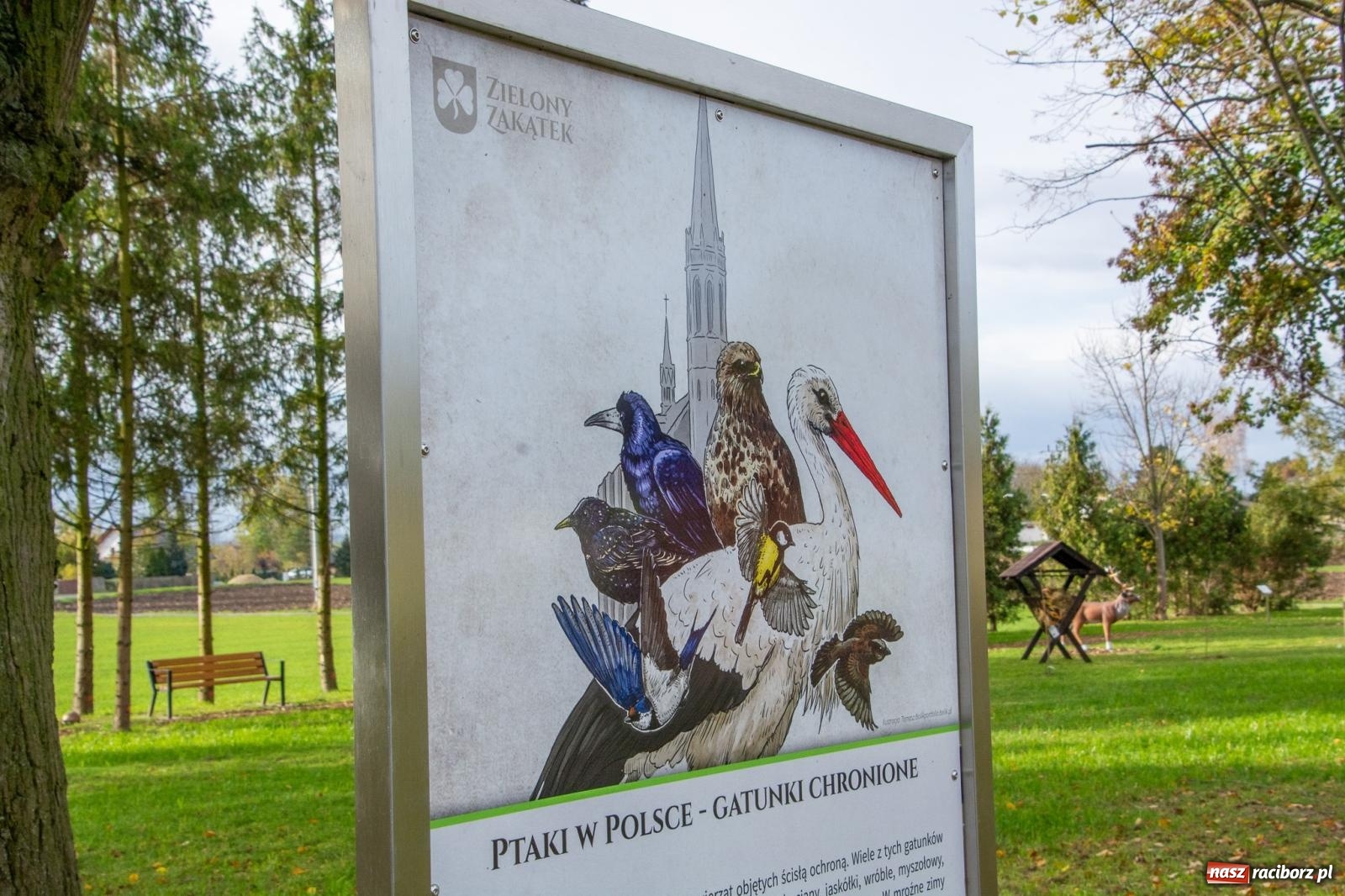 Zdjęcie w galerii na portalu naszraciborz.pl: Cyprzanów ma swój zielony zakątek. Jak leśny park niespodzianek [FOTO i WIDEO] wiadomości z regionu