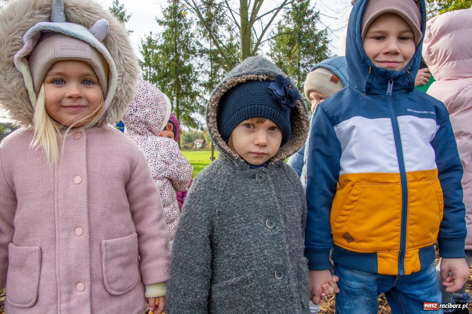 Zdjęcie w galerii na portalu naszraciborz.pl: Cyprzanów ma swój zielony zakątek. Jak leśny park niespodzianek [FOTO i WIDEO] wiadomości z regionu