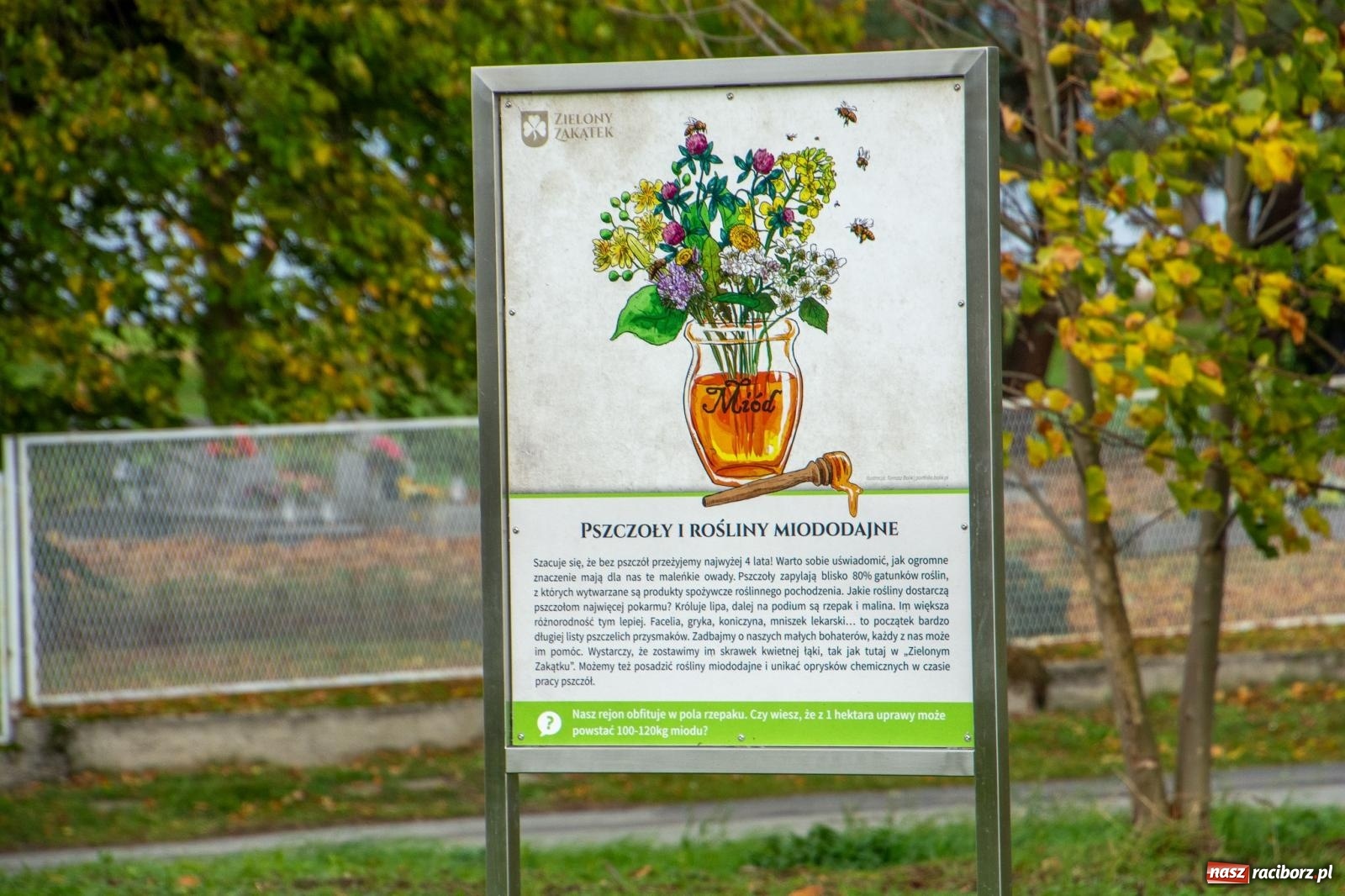 Zdjęcie w galerii na portalu naszraciborz.pl: Cyprzanów ma swój zielony zakątek. Jak leśny park niespodzianek [FOTO i WIDEO] wiadomości z regionu