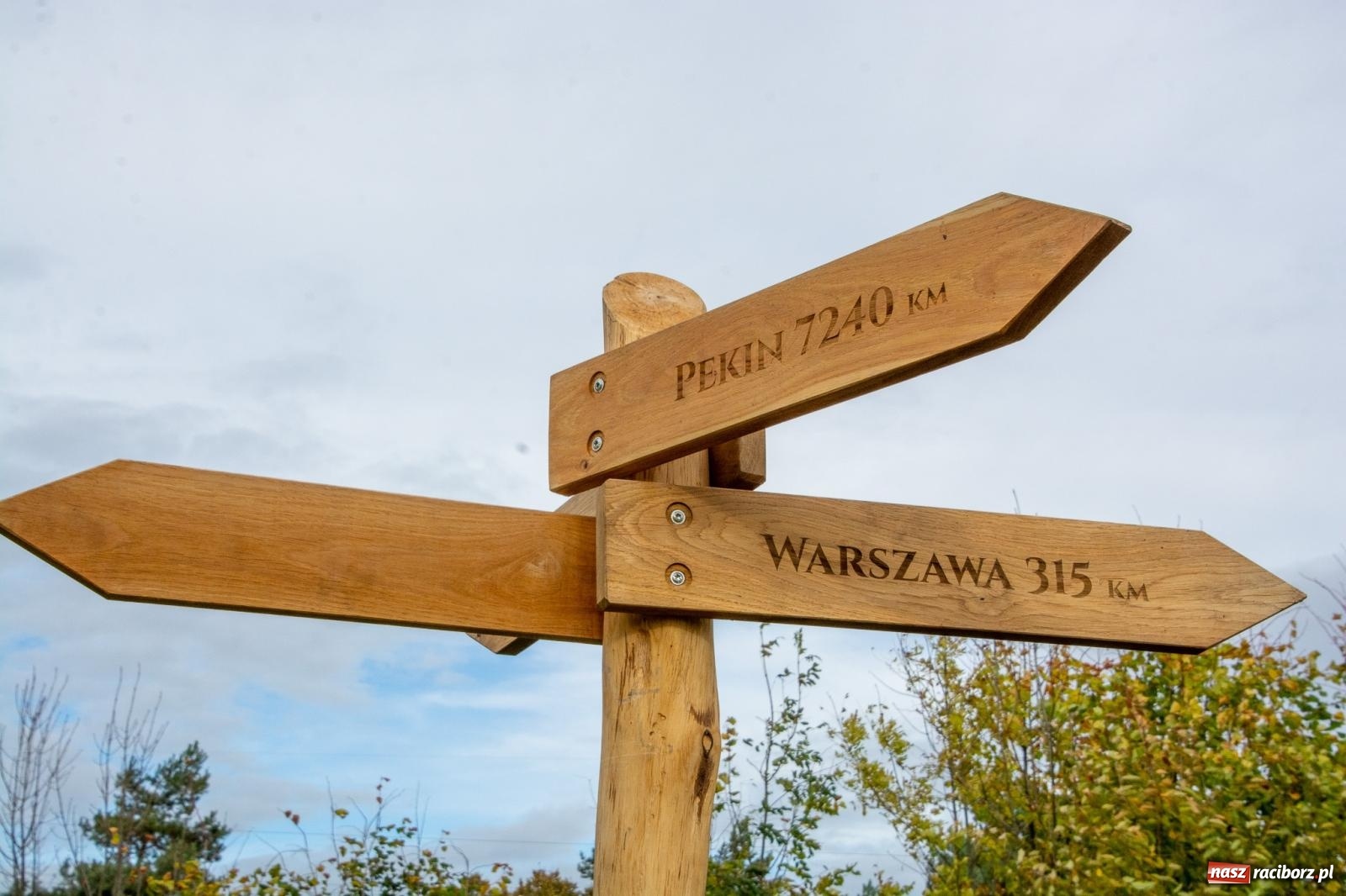 Zdjęcie w galerii na portalu naszraciborz.pl: Cyprzanów ma swój zielony zakątek. Jak leśny park niespodzianek [FOTO i WIDEO] wiadomości z regionu