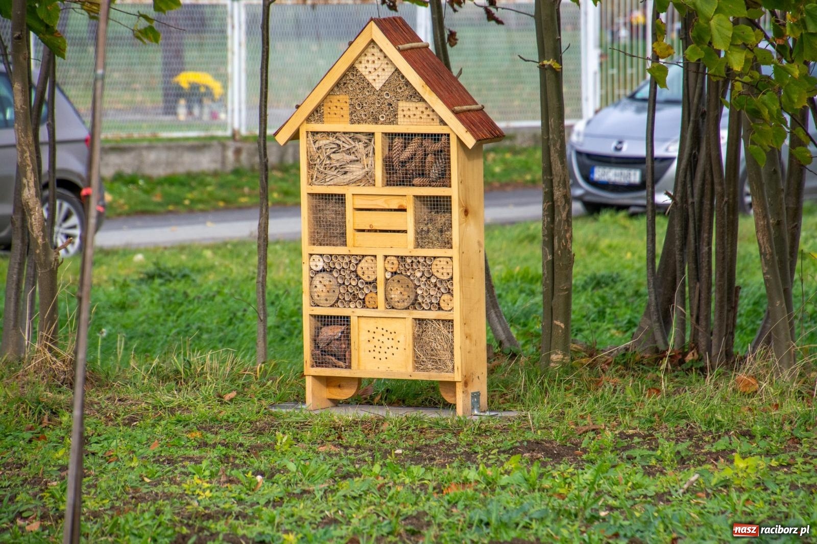 Zdjęcie w galerii na portalu naszraciborz.pl: Cyprzanów ma swój zielony zakątek. Jak leśny park niespodzianek [FOTO i WIDEO] wiadomości z regionu