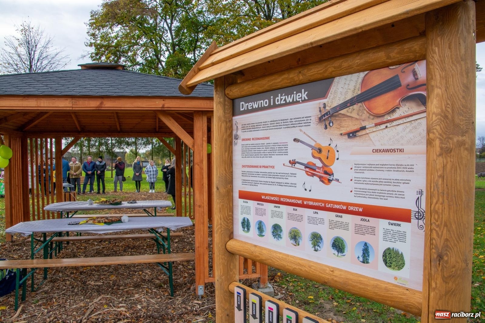 Zdjęcie w galerii na portalu naszraciborz.pl: Cyprzanów ma swój zielony zakątek. Jak leśny park niespodzianek [FOTO i WIDEO] wiadomości z regionu