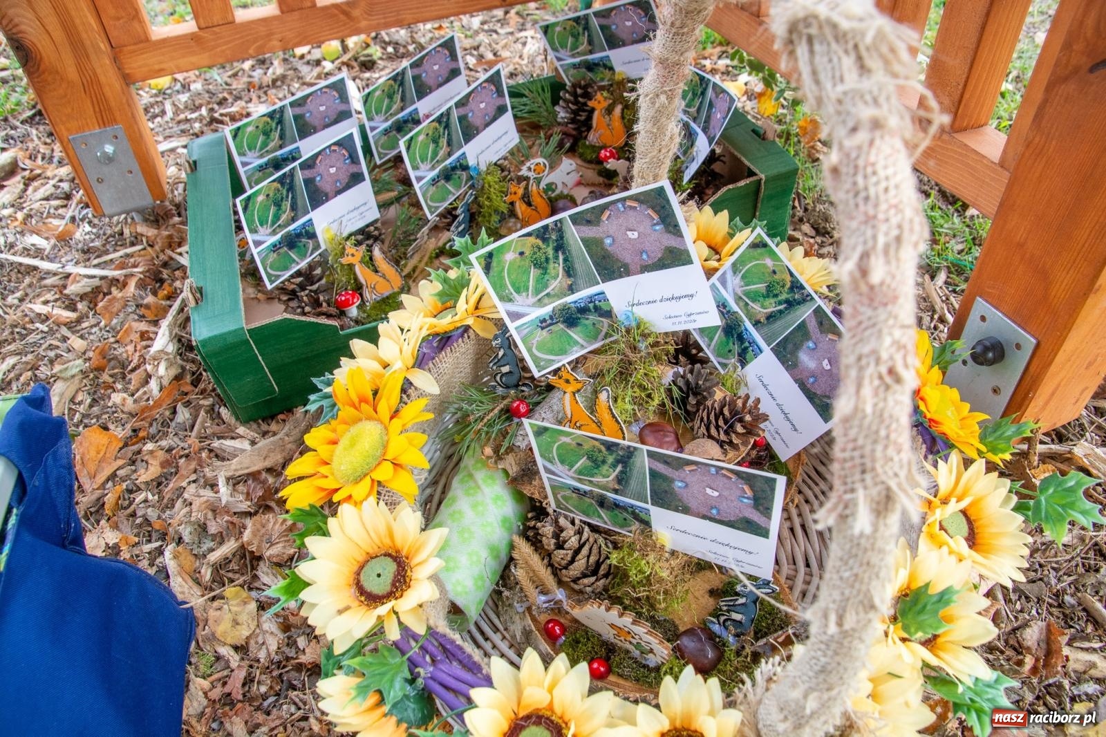Zdjęcie w galerii na portalu naszraciborz.pl: Cyprzanów ma swój zielony zakątek. Jak leśny park niespodzianek [FOTO i WIDEO] wiadomości z regionu