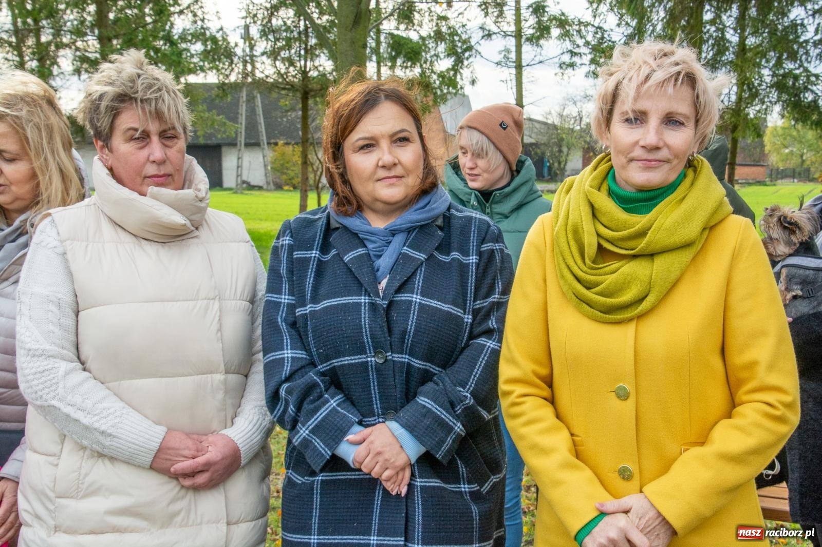 Zdjęcie w galerii na portalu naszraciborz.pl: Cyprzanów ma swój zielony zakątek. Jak leśny park niespodzianek [FOTO i WIDEO] wiadomości z regionu
