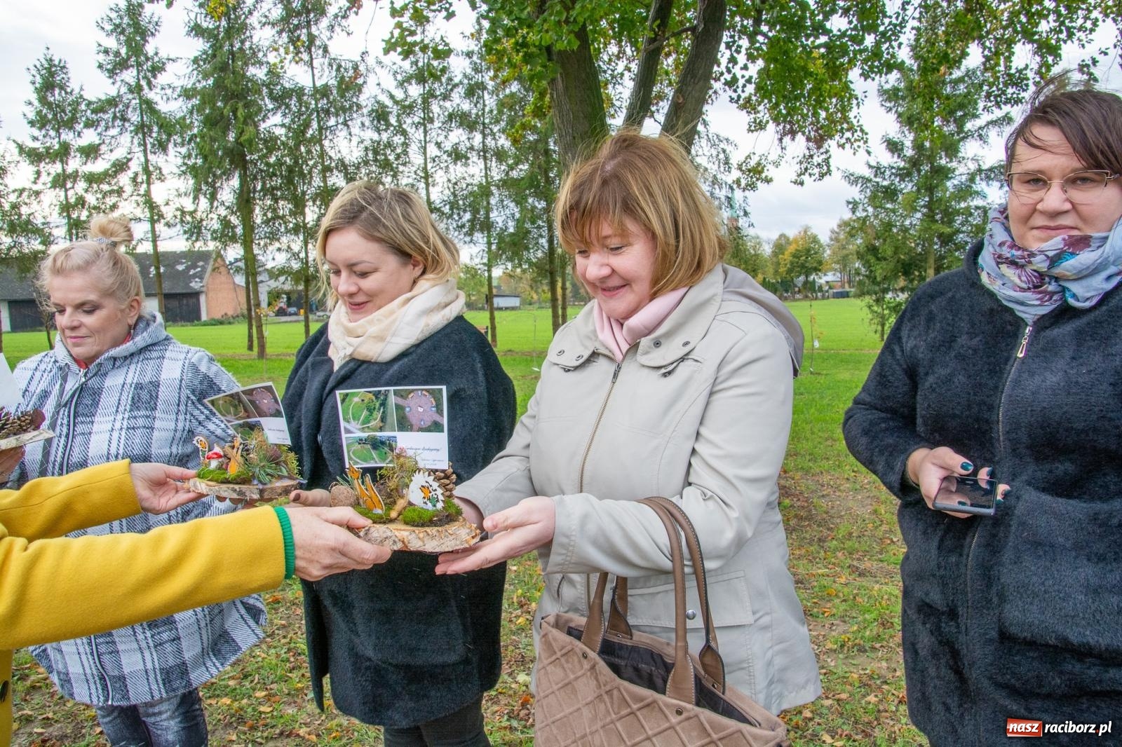 Zdjęcie w galerii na portalu naszraciborz.pl: Cyprzanów ma swój zielony zakątek. Jak leśny park niespodzianek [FOTO i WIDEO] wiadomości z regionu