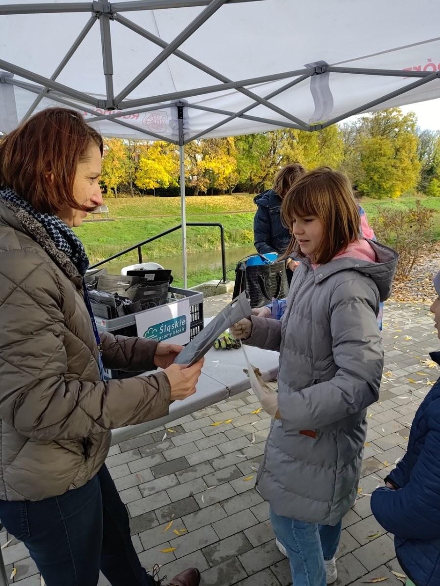 Zdjęcie w galerii na portalu naszraciborz.pl: Wiązy górskie przyozdobią wały nadodrzańskie przy Reymonta wiadomości z regionu