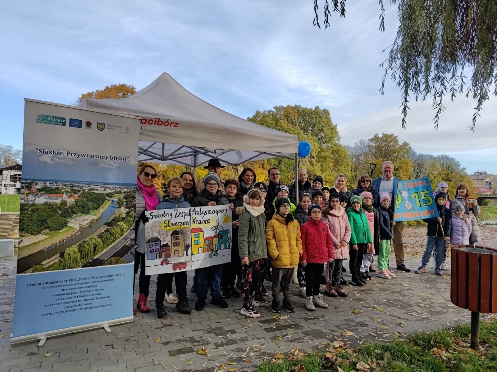 Zdjęcie w galerii na portalu naszraciborz.pl: Wiązy górskie przyozdobią wały nadodrzańskie przy Reymonta wiadomości z regionu