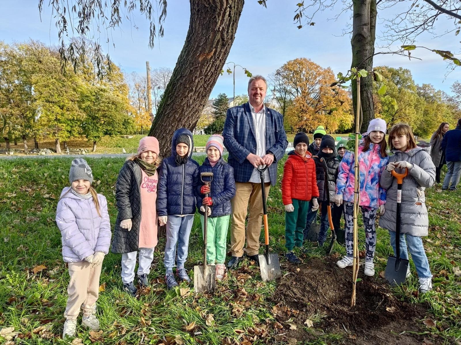Zdjęcie w galerii na portalu naszraciborz.pl: Wiązy górskie przyozdobią wały nadodrzańskie przy Reymonta wiadomości z regionu