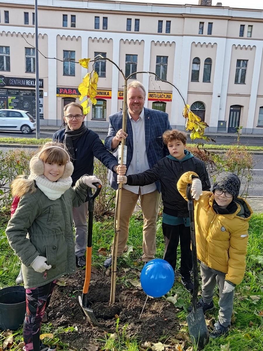 Zdjęcie w galerii na portalu naszraciborz.pl: Wiązy górskie przyozdobią wały nadodrzańskie przy Reymonta wiadomości z regionu