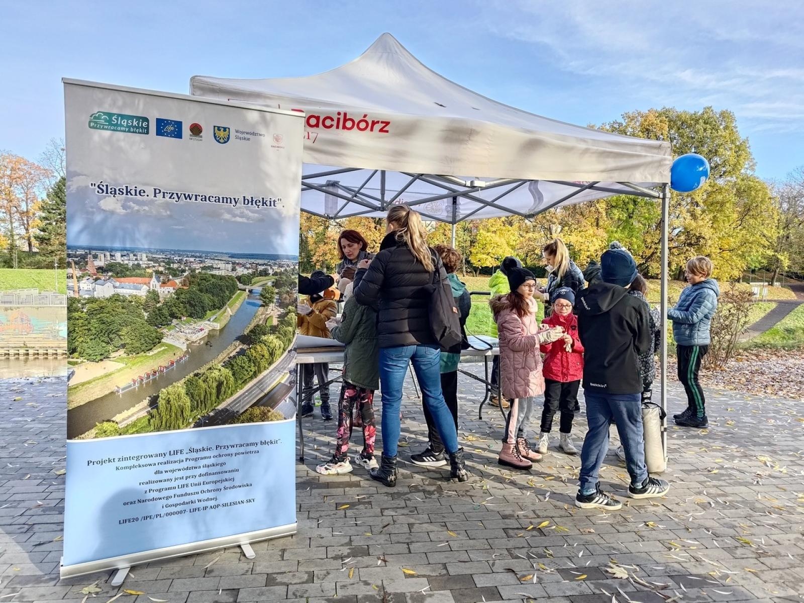 Zdjęcie w galerii na portalu naszraciborz.pl: Wiązy górskie przyozdobią wały nadodrzańskie przy Reymonta wiadomości z regionu