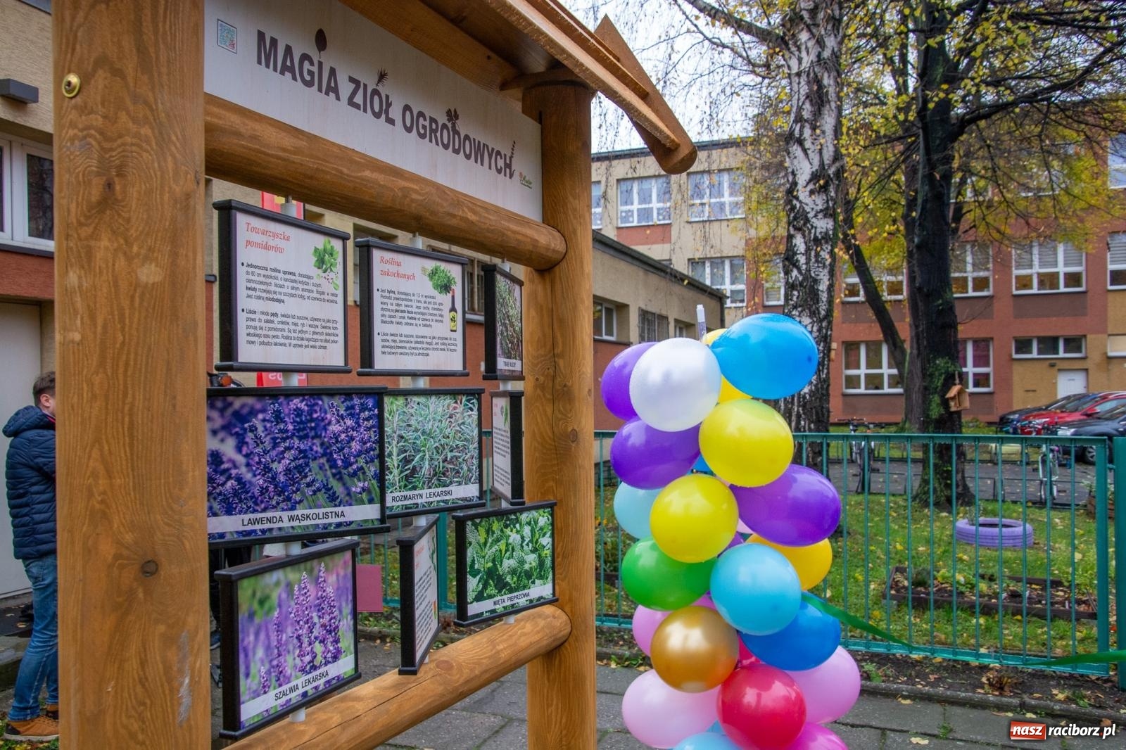 Zdjęcie w galerii na portalu naszraciborz.pl: SP 4 ma ekopracownię pod chmurką ze stacją METEO wiadomości z regionu