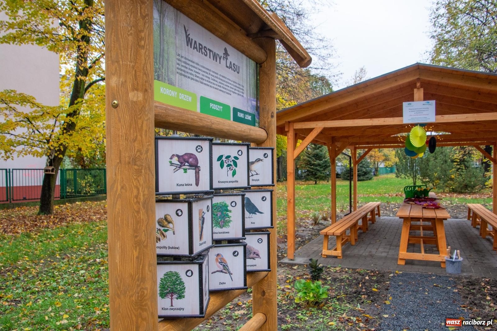 Zdjęcie w galerii na portalu naszraciborz.pl: SP 4 ma ekopracownię pod chmurką ze stacją METEO wiadomości z regionu