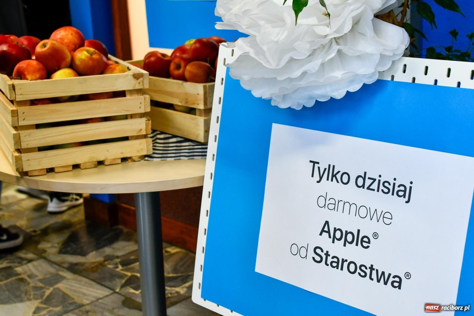 Zdjęcie w galerii na portalu naszraciborz.pl: Międzynarodowy Dzień Studenta w raciborskiej ANS wiadomości z regionu