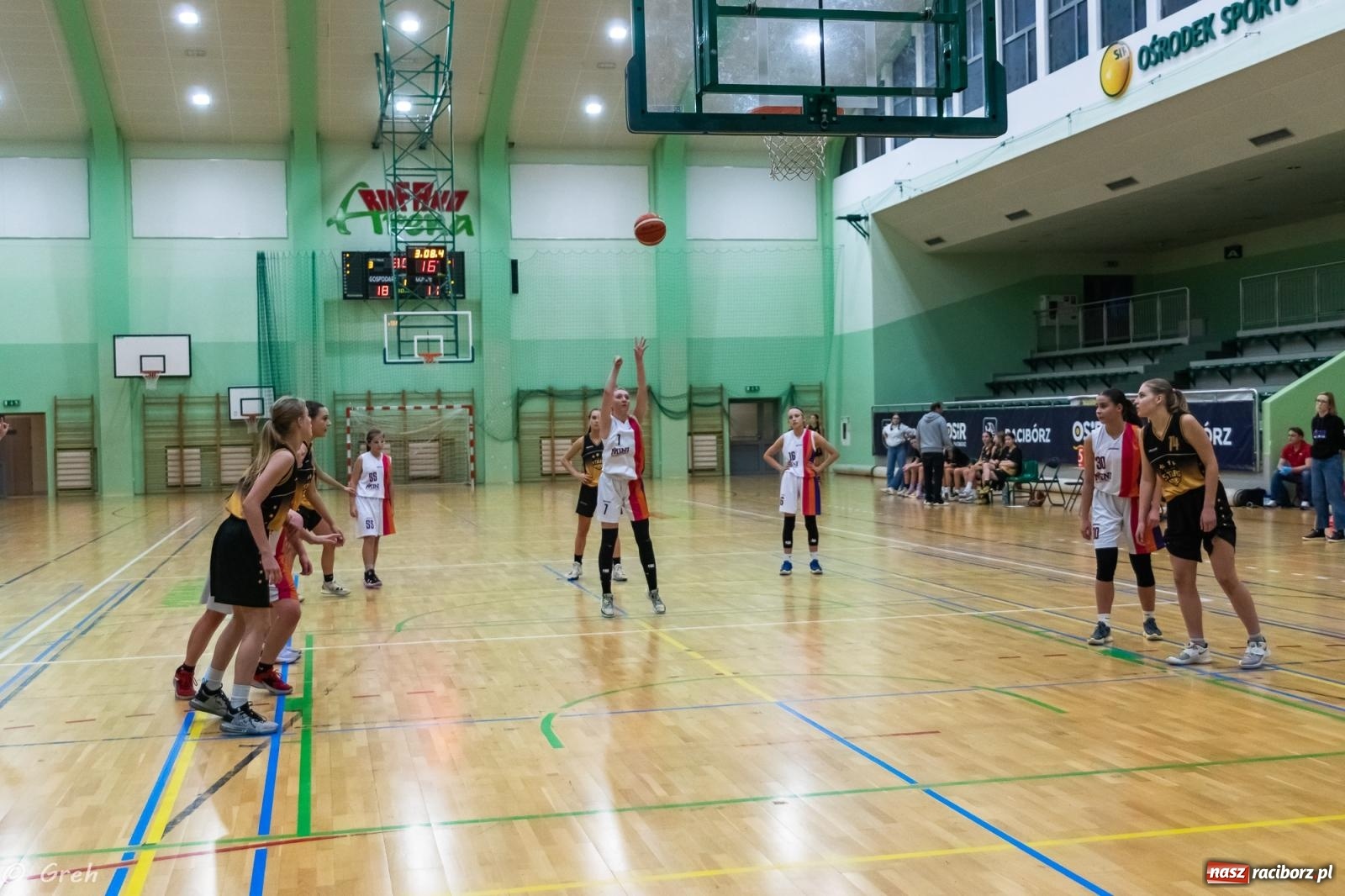 Zdjęcie w galerii na portalu naszraciborz.pl: Walczyły jak lwice, by pokonać Gliwice [FOTO i WIDEO] wiadomości z regionu