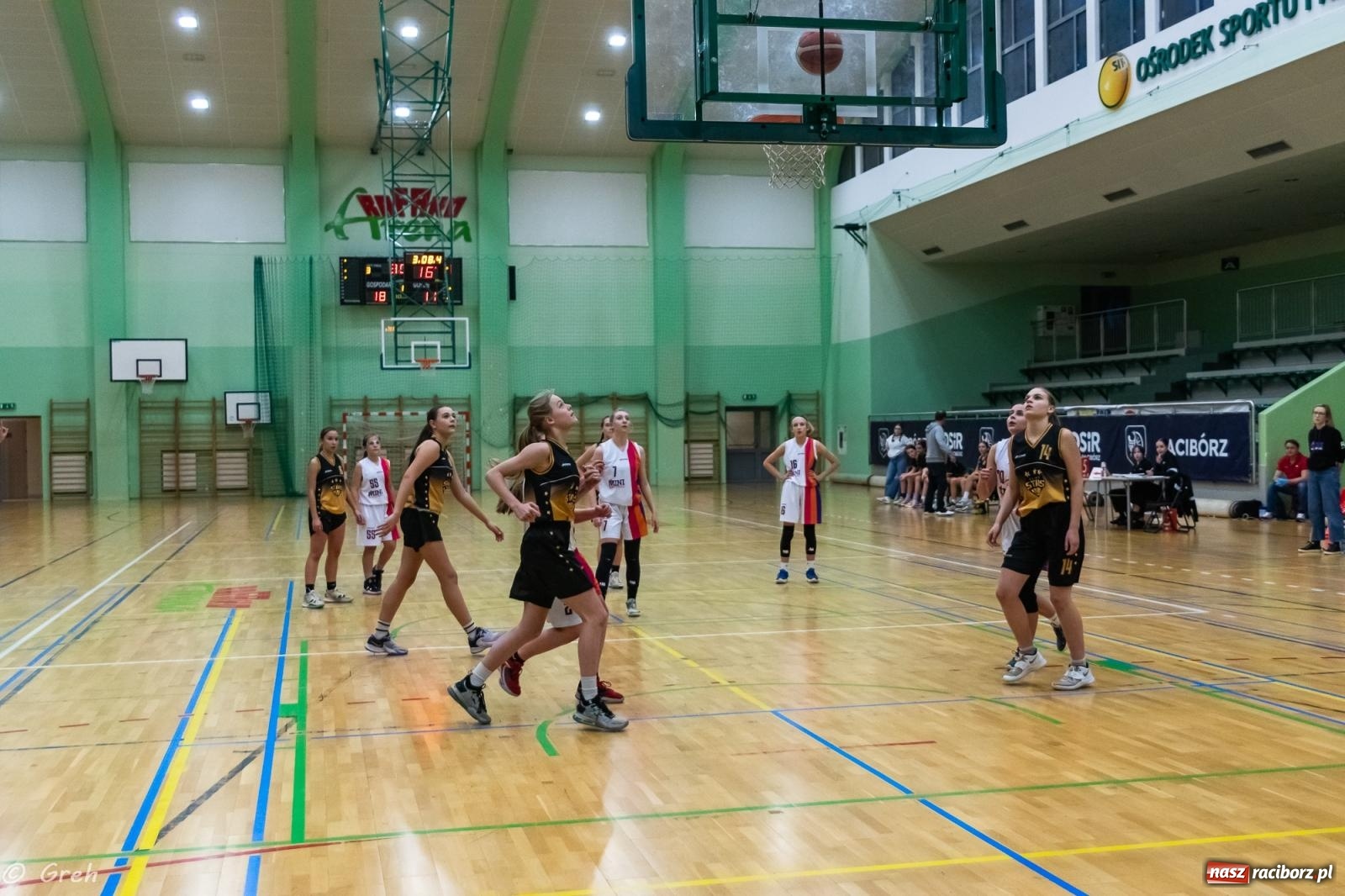 Zdjęcie w galerii na portalu naszraciborz.pl: Walczyły jak lwice, by pokonać Gliwice [FOTO i WIDEO] wiadomości z regionu