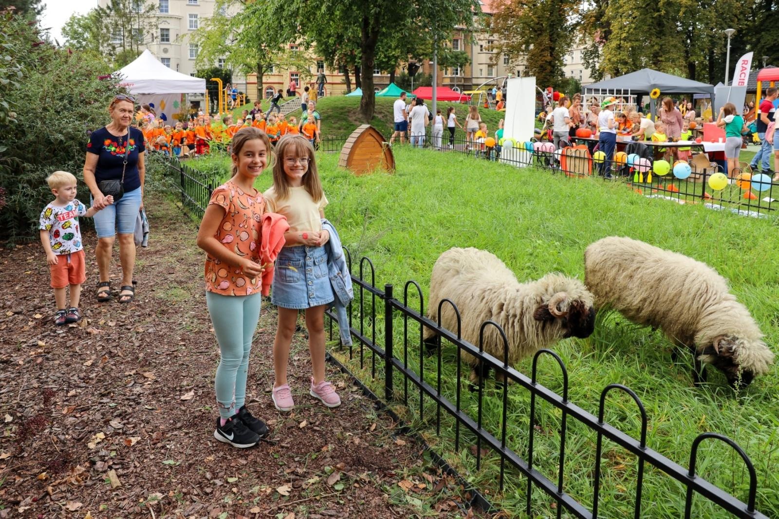 Zdjęcie w galerii na portalu naszraciborz.pl: Spotkanie podsumowujące sezon w Ogródku Jordanowskim wiadomości z regionu
