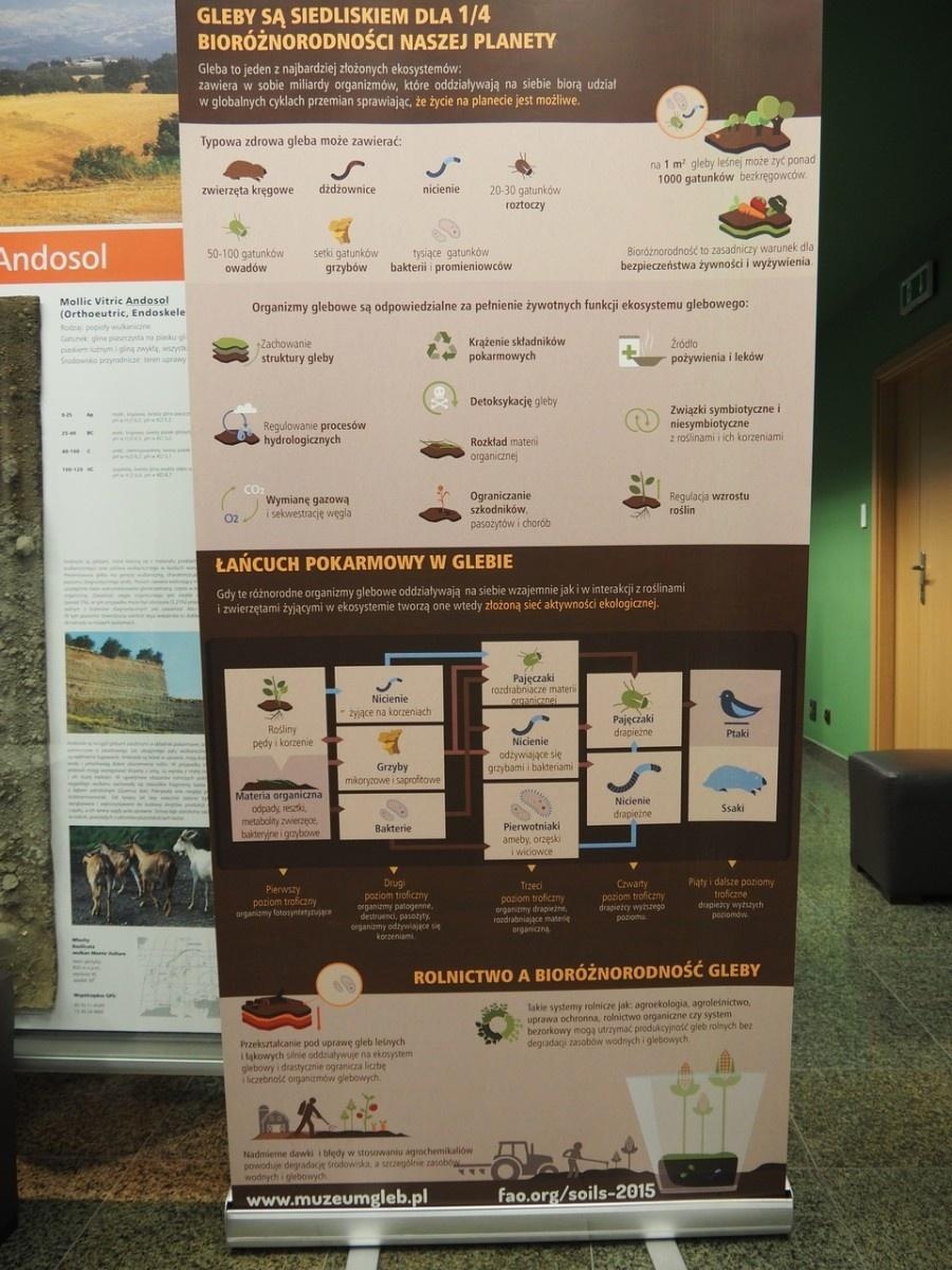 Zdjęcie w galerii na portalu naszraciborz.pl: Konferencja Współczesna Architektura Krajobrazu 2023 wiadomości z regionu