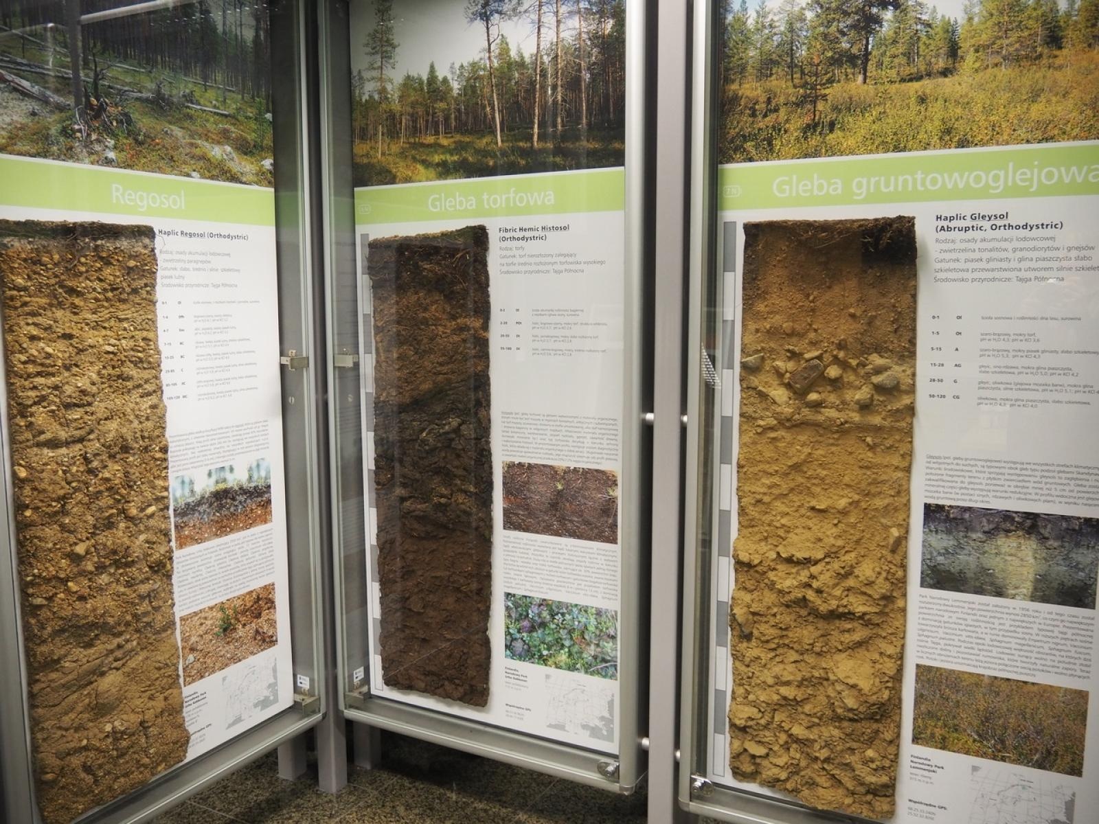 Zdjęcie w galerii na portalu naszraciborz.pl: Konferencja Współczesna Architektura Krajobrazu 2023 wiadomości z regionu