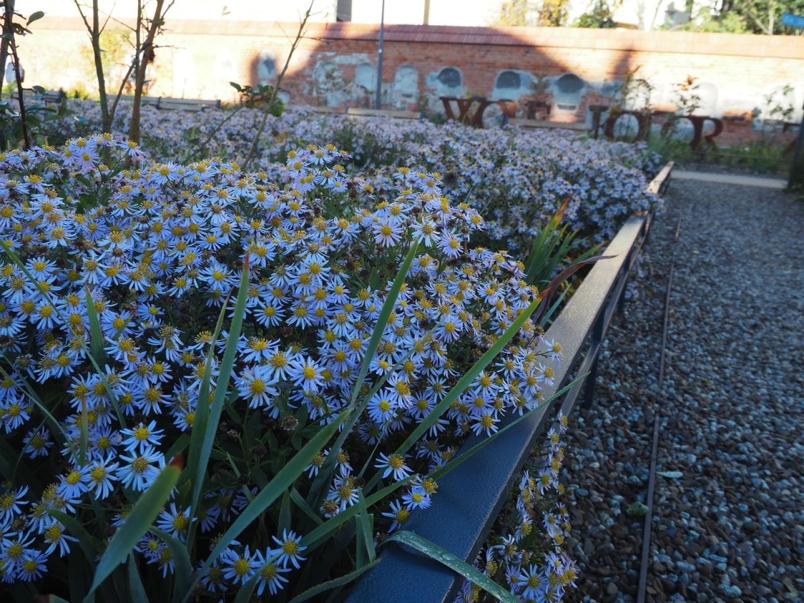 Zdjęcie w galerii na portalu naszraciborz.pl: Konferencja Współczesna Architektura Krajobrazu 2023 wiadomości z regionu