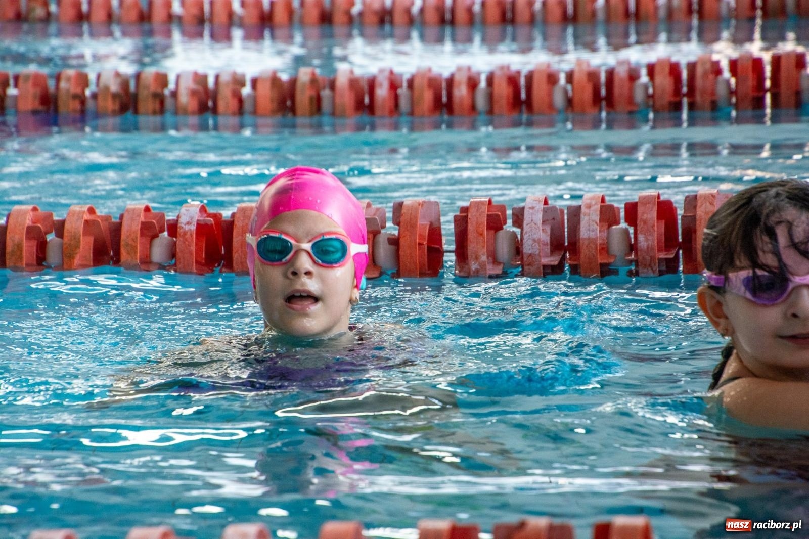 Zdjęcie w galerii na portalu naszraciborz.pl: Pływackie nadzieje z Raciborza rywalizowały w H2Ostróg wiadomości z regionu
