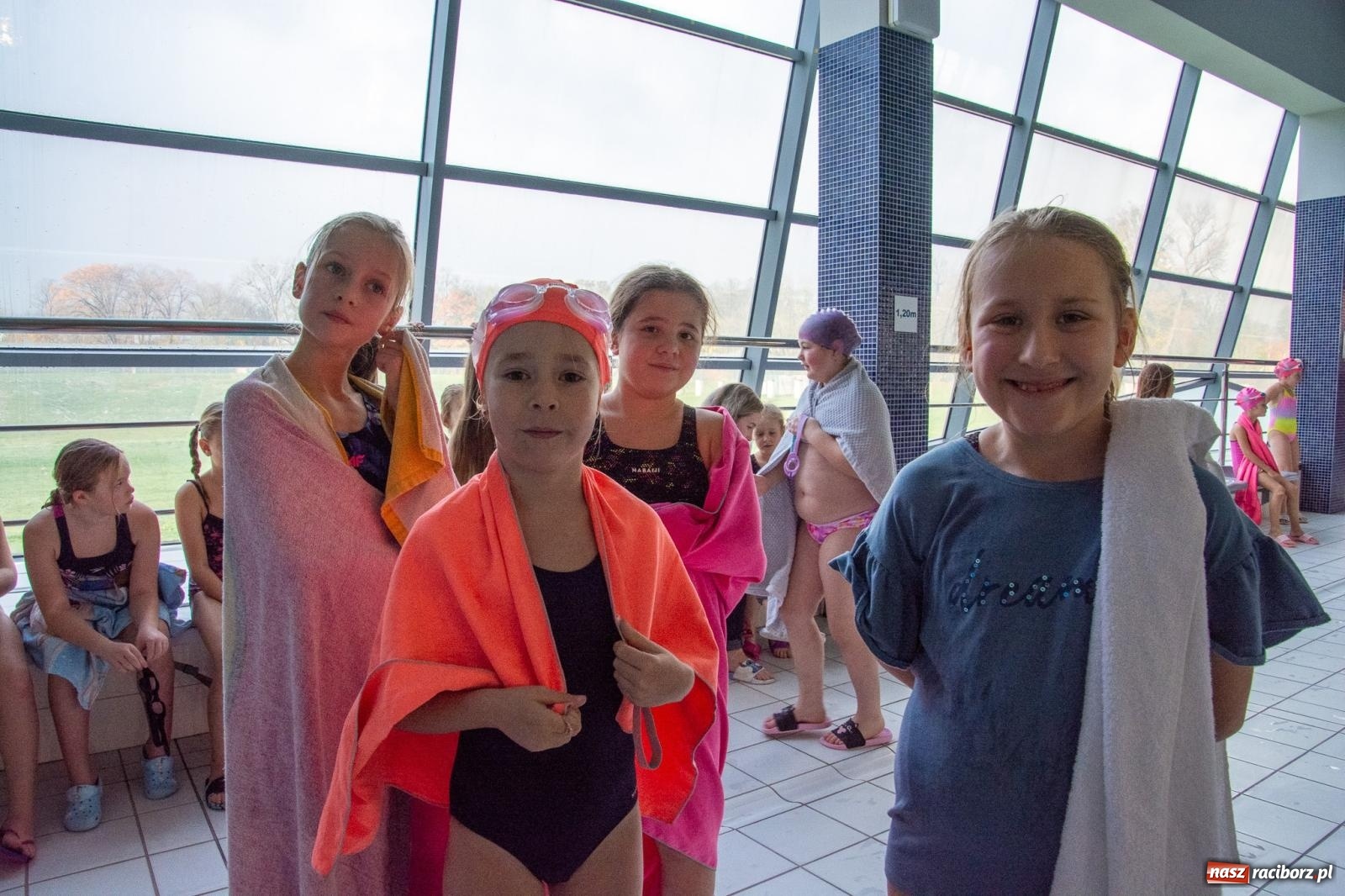 Zdjęcie w galerii na portalu naszraciborz.pl: Pływackie nadzieje z Raciborza rywalizowały w H2Ostróg wiadomości z regionu