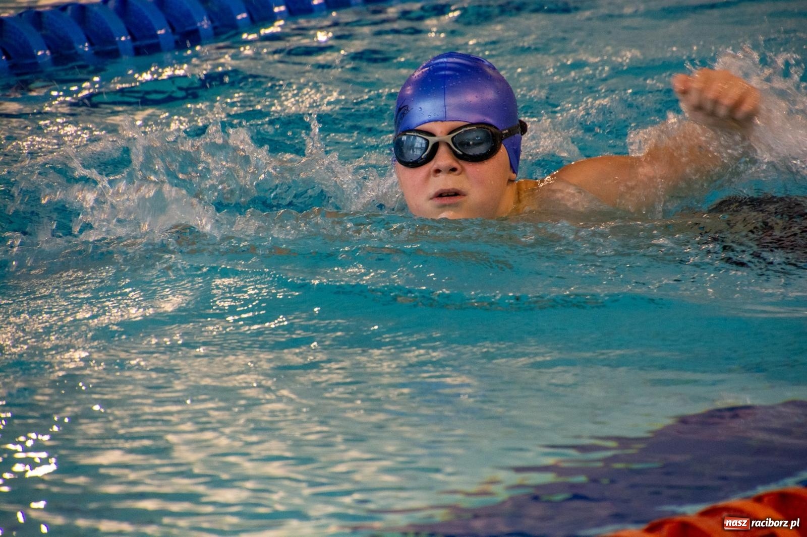 Zdjęcie w galerii na portalu naszraciborz.pl: Pływackie nadzieje z Raciborza rywalizowały w H2Ostróg wiadomości z regionu