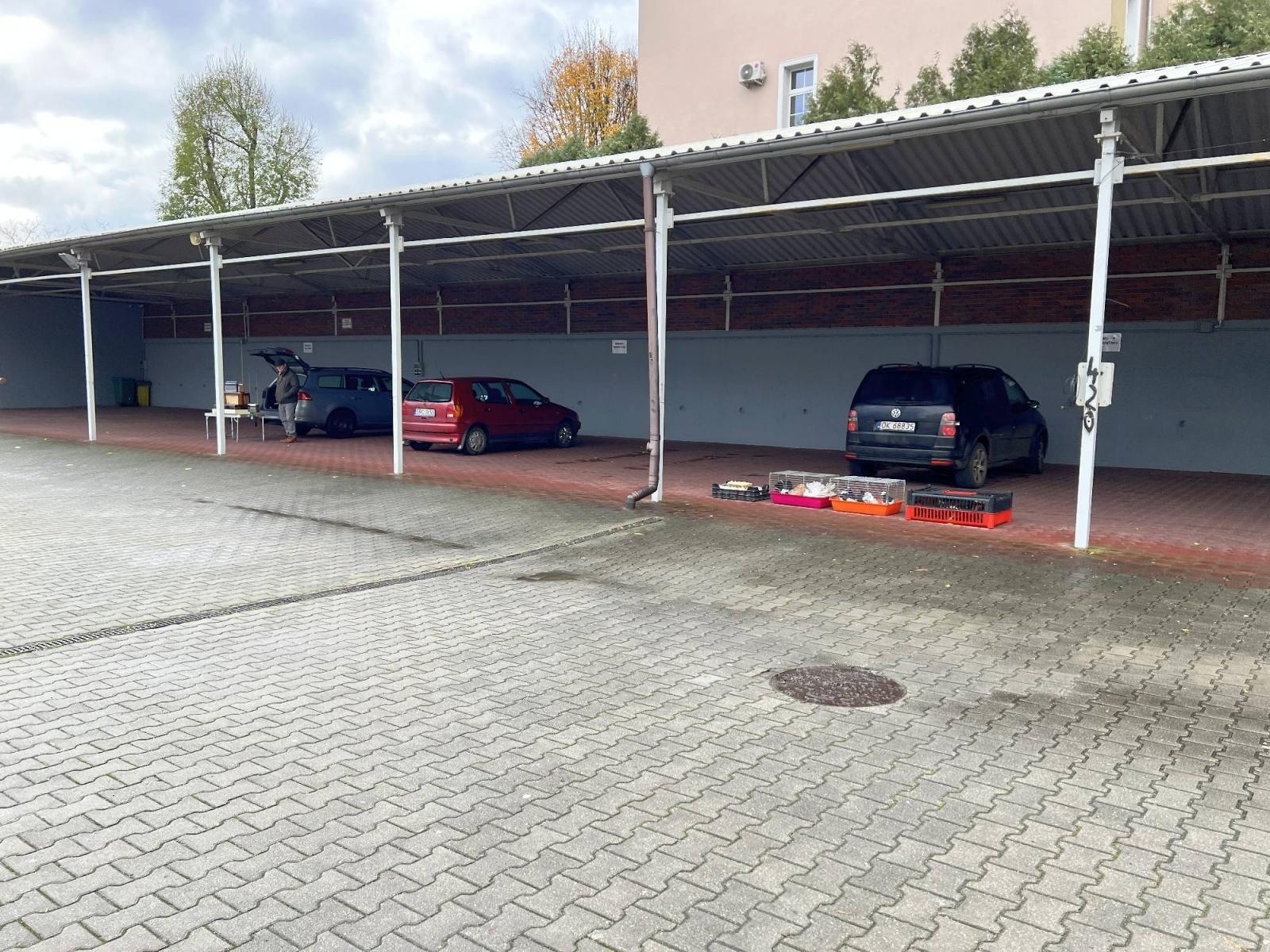 Zdjęcie w galerii na portalu naszraciborz.pl: Pietrowickiemu targowi staroci brakuje miejsca pod dachem wiadomości z regionu