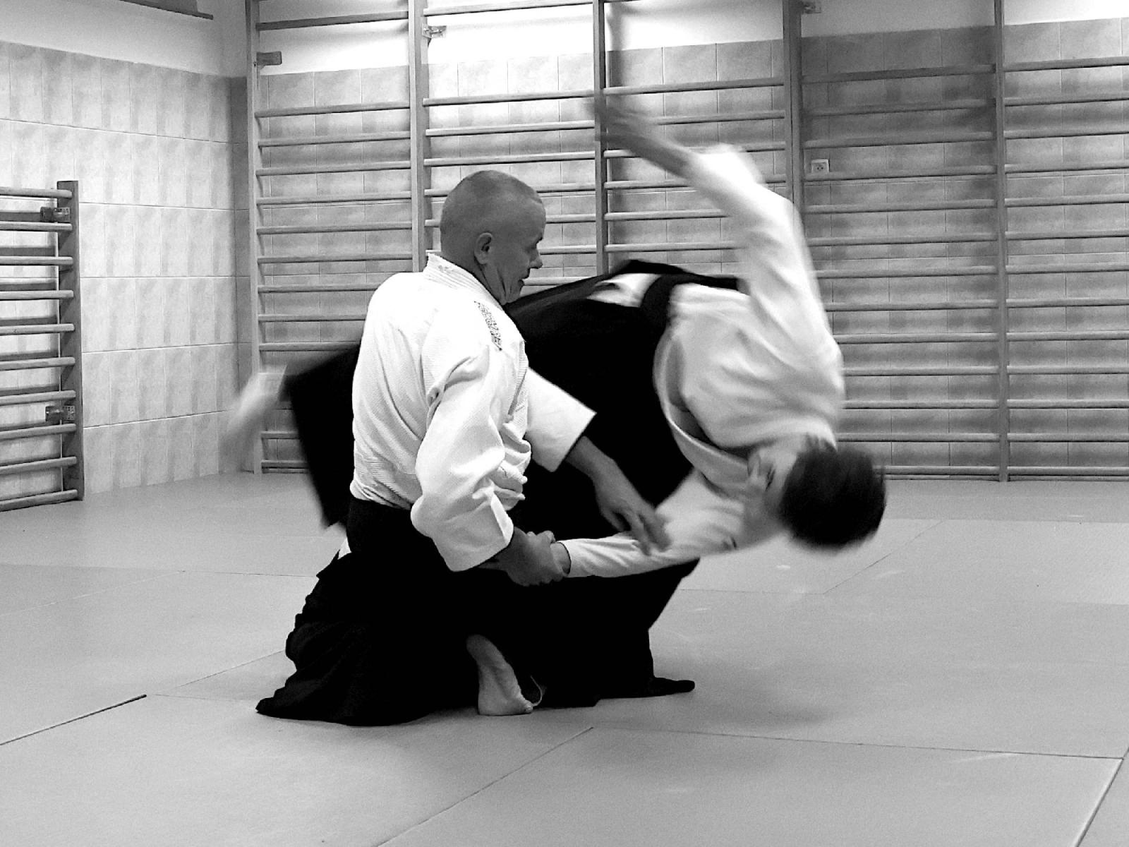 Zdjęcie w galerii na portalu naszraciborz.pl: Taniec z energią. Pokazowe zajęcia Aikido w PCS wiadomości z regionu