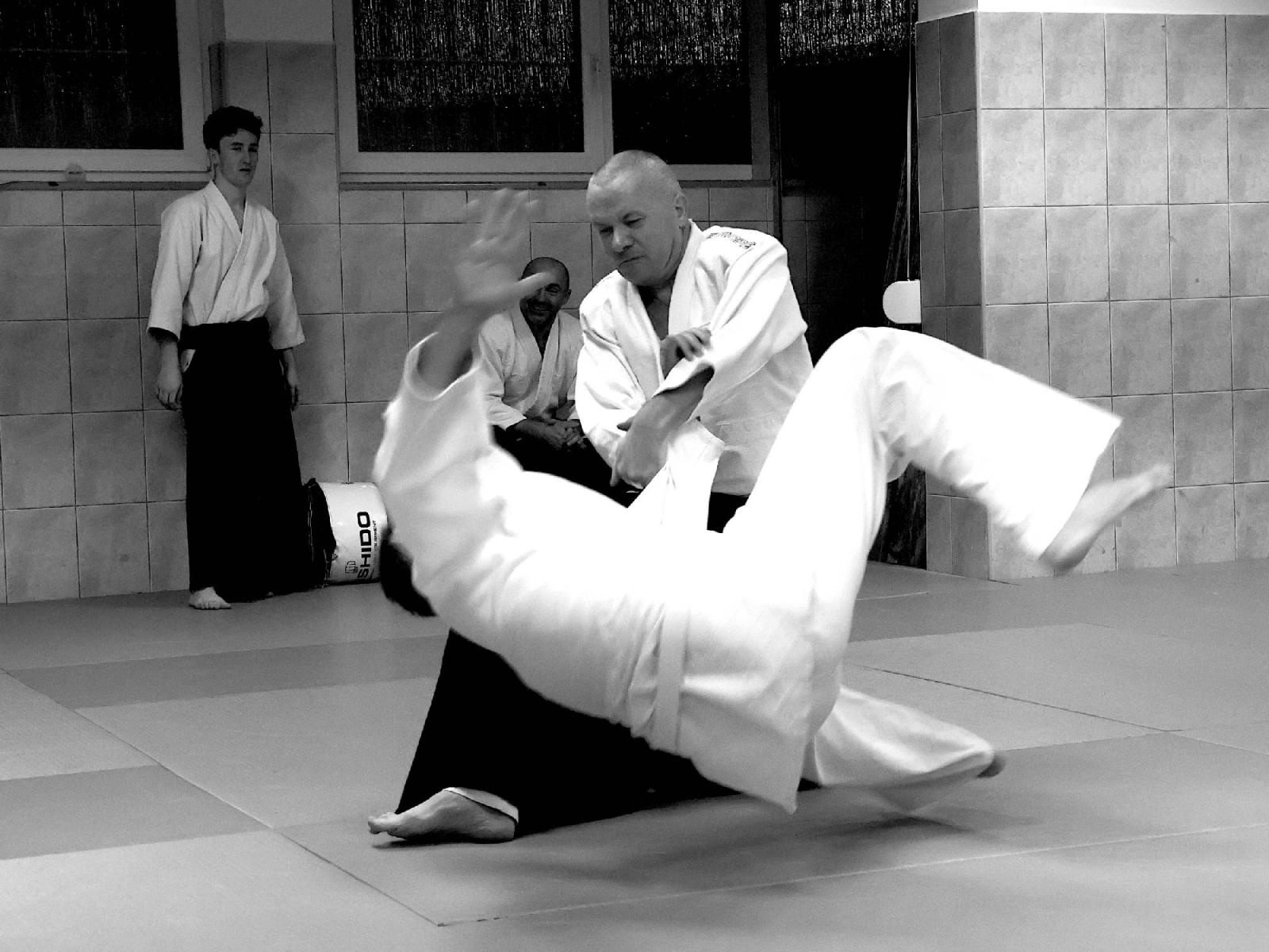 Zdjęcie w galerii na portalu naszraciborz.pl: Taniec z energią. Pokazowe zajęcia Aikido w PCS wiadomości z regionu