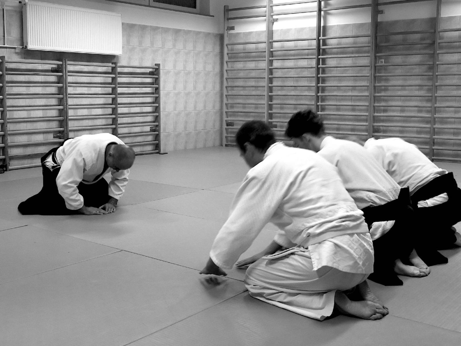 Zdjęcie w galerii na portalu naszraciborz.pl: Taniec z energią. Pokazowe zajęcia Aikido w PCS wiadomości z regionu