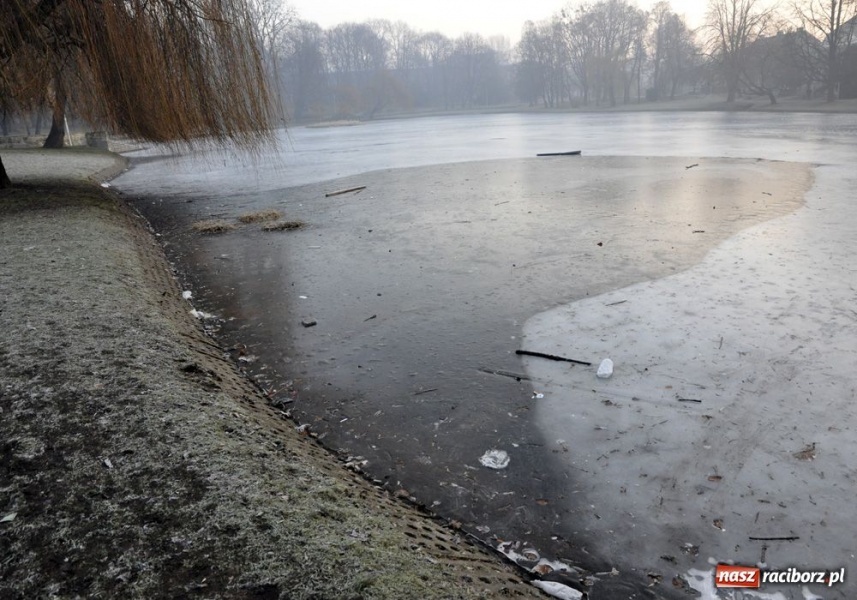 Zdjęcie w galerii na portalu naszraciborz.pl: Po co sprzątać, brud zatonie wiadomości z regionu