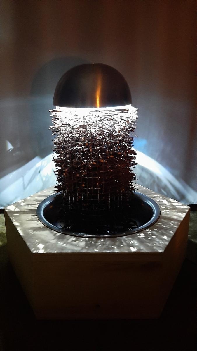 Zdjęcie w galerii na portalu naszraciborz.pl: Praca dyplomowa absolwentki raciborskiej uczelni wśród najlepszych w Polsce! wiadomości z regionu