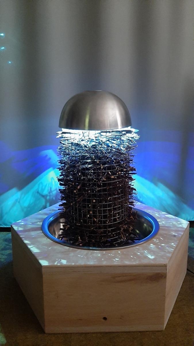 Zdjęcie w galerii na portalu naszraciborz.pl: Praca dyplomowa absolwentki raciborskiej uczelni wśród najlepszych w Polsce! wiadomości z regionu